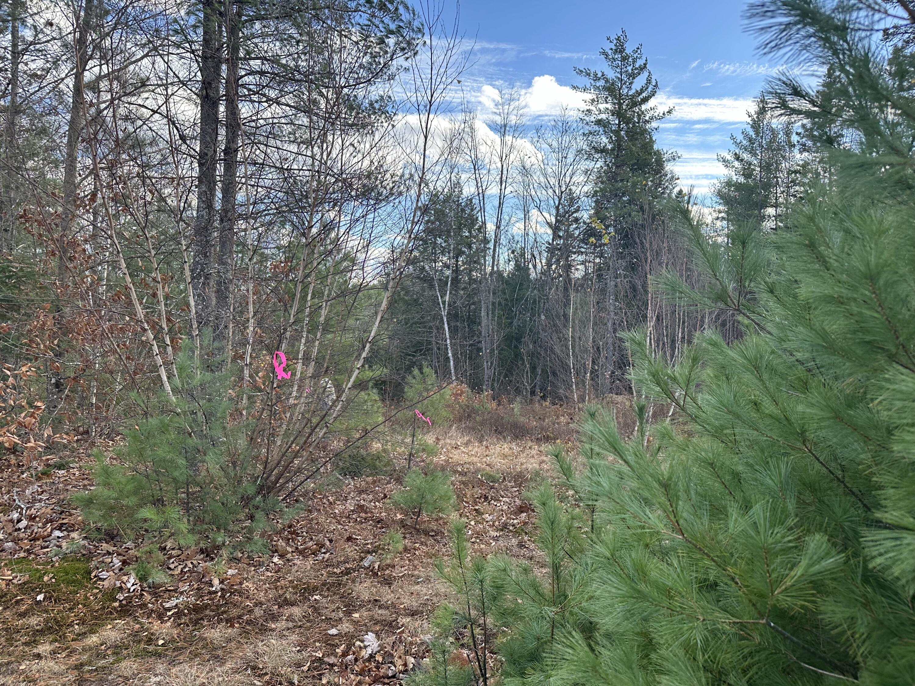 Lot 3 Map 5