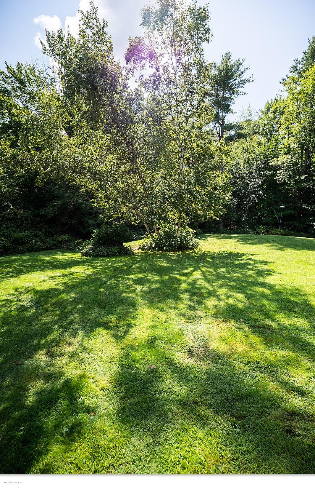 21 Colony Lane