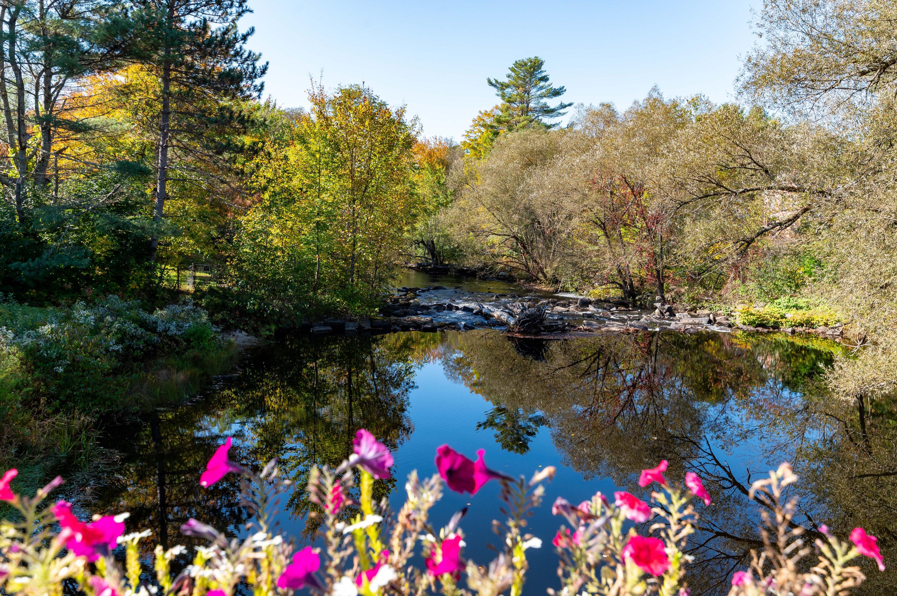 1026 Bolsters Mills Road