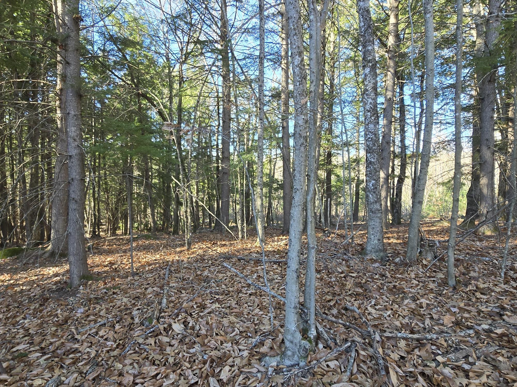 29 Hawk Ridge Road