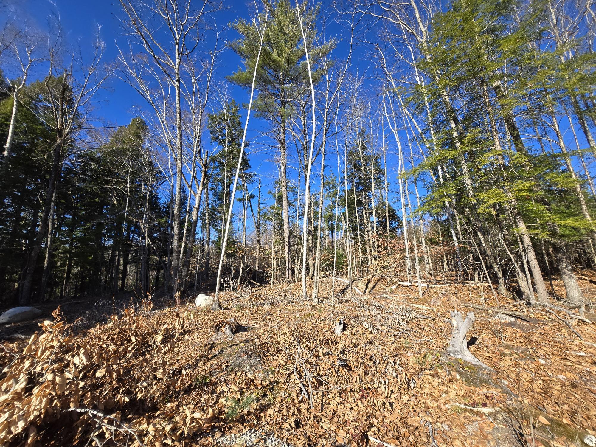 29 Hawk Ridge Road