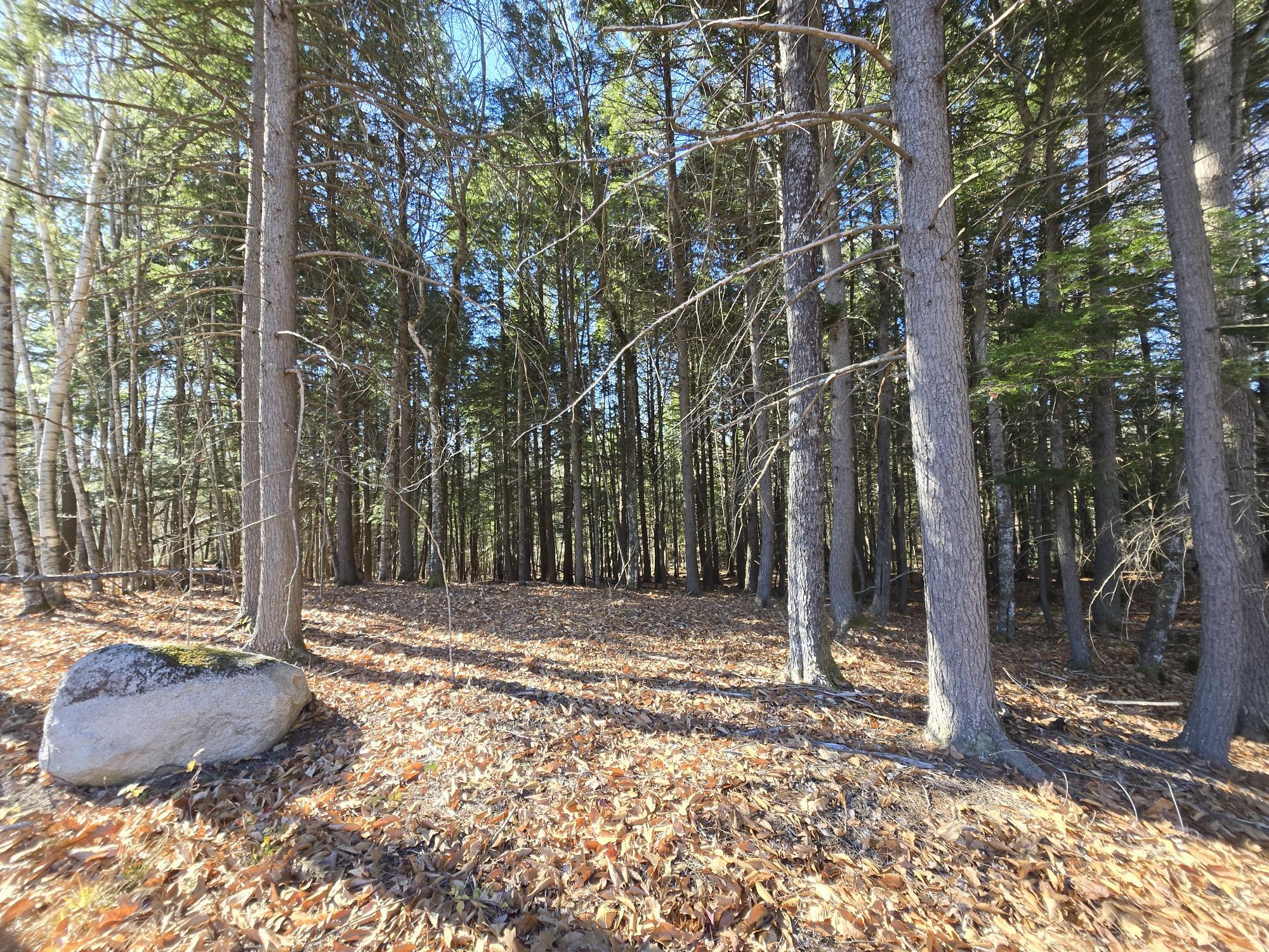 29 Hawk Ridge Road