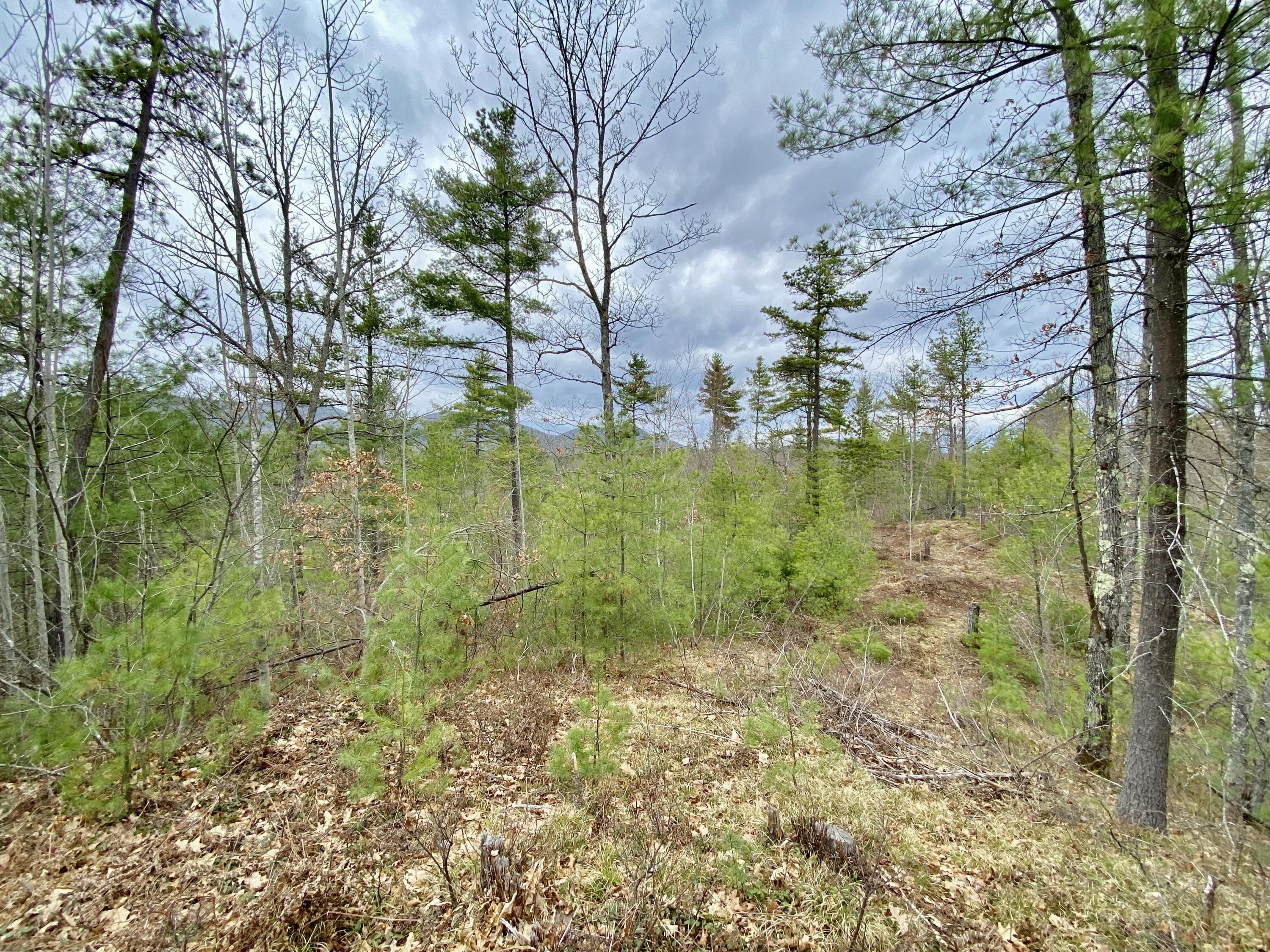 8-15 Notch Road