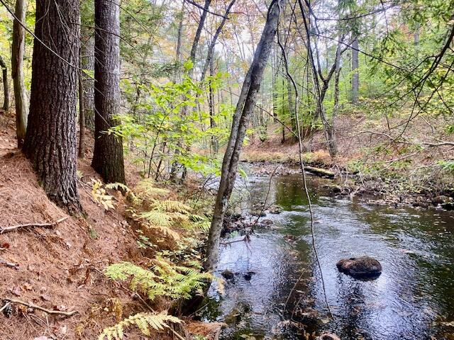 8-15 Notch Road