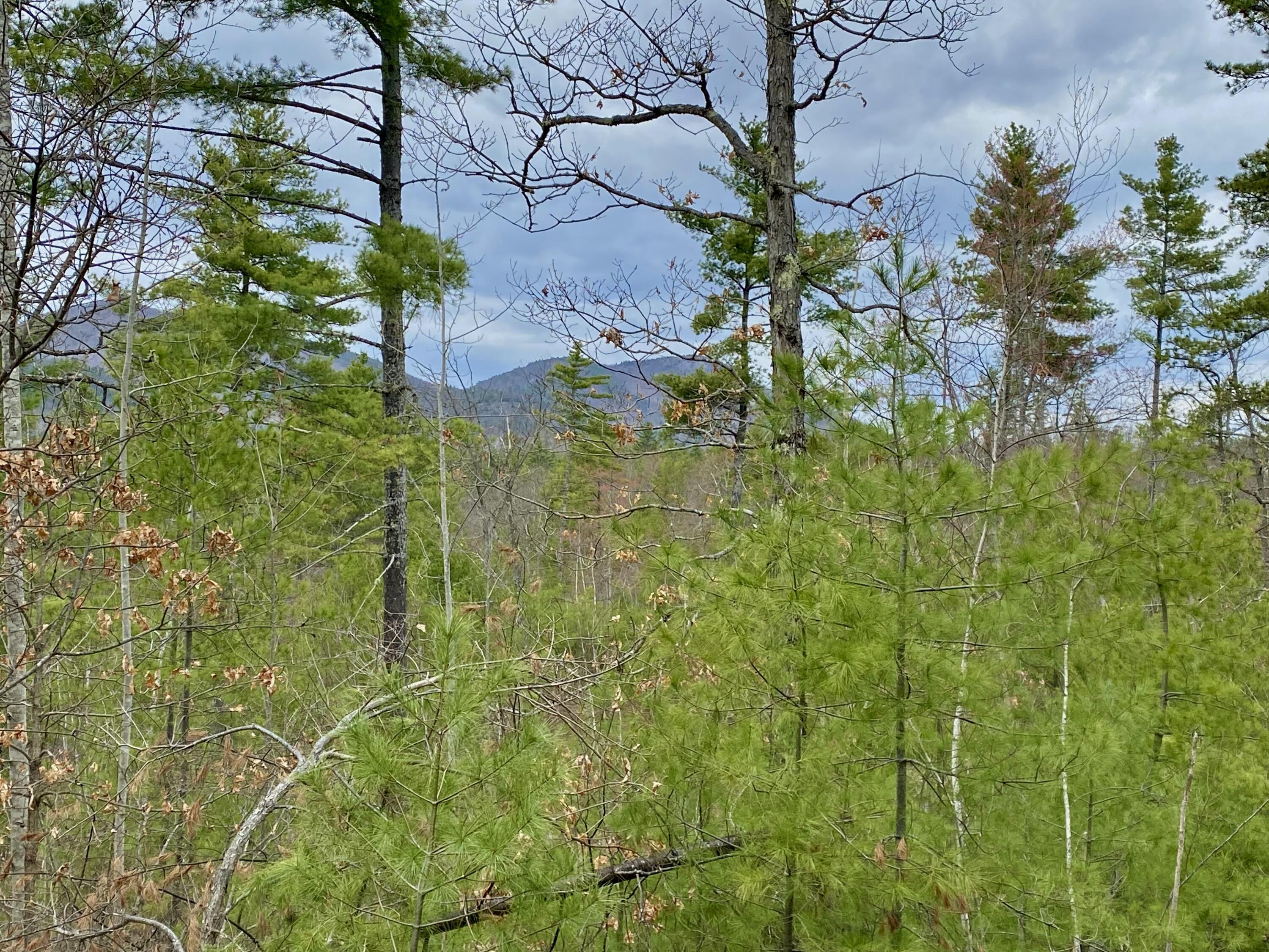 8-15 Notch Road