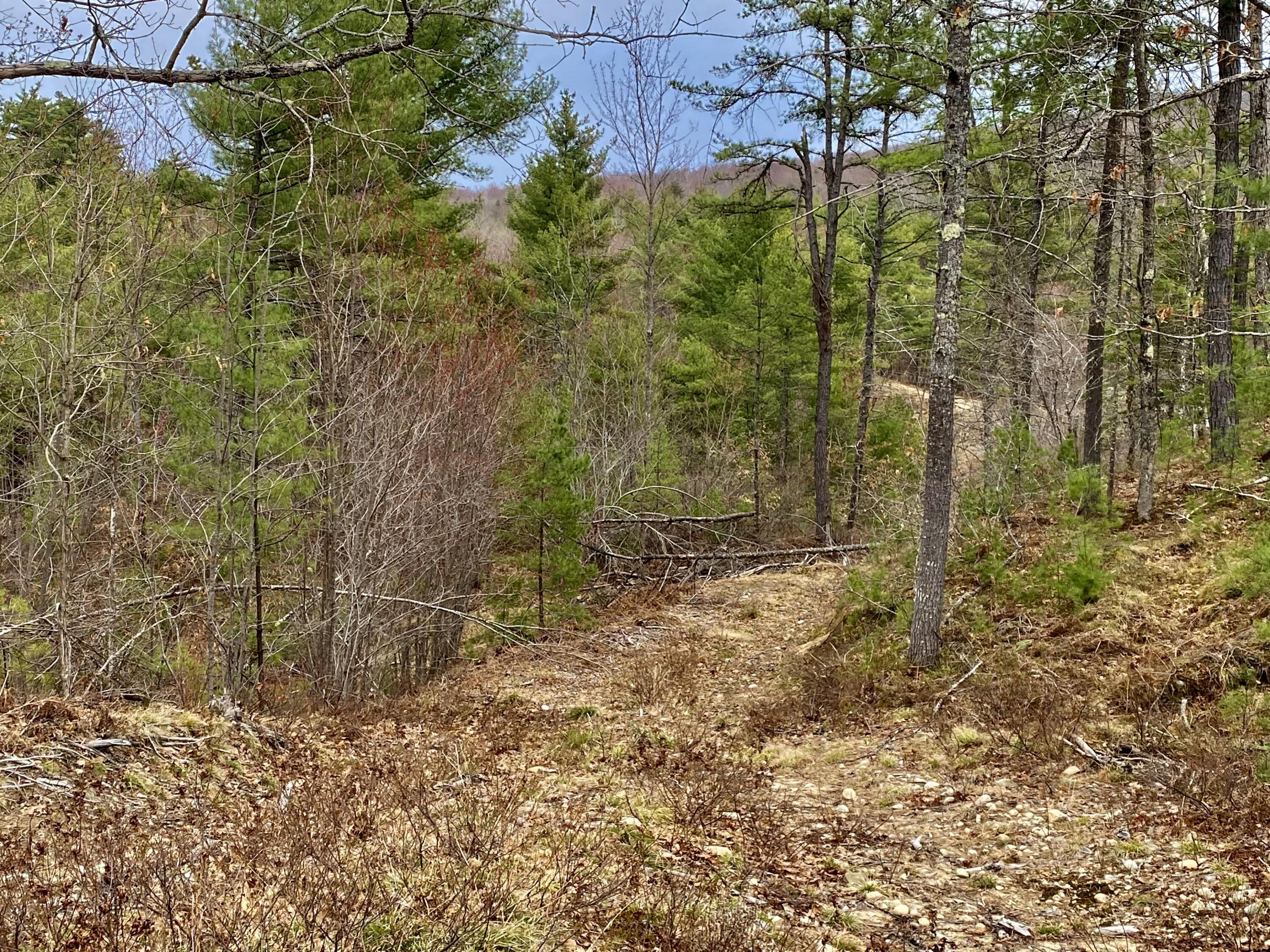 8-15 Notch Road