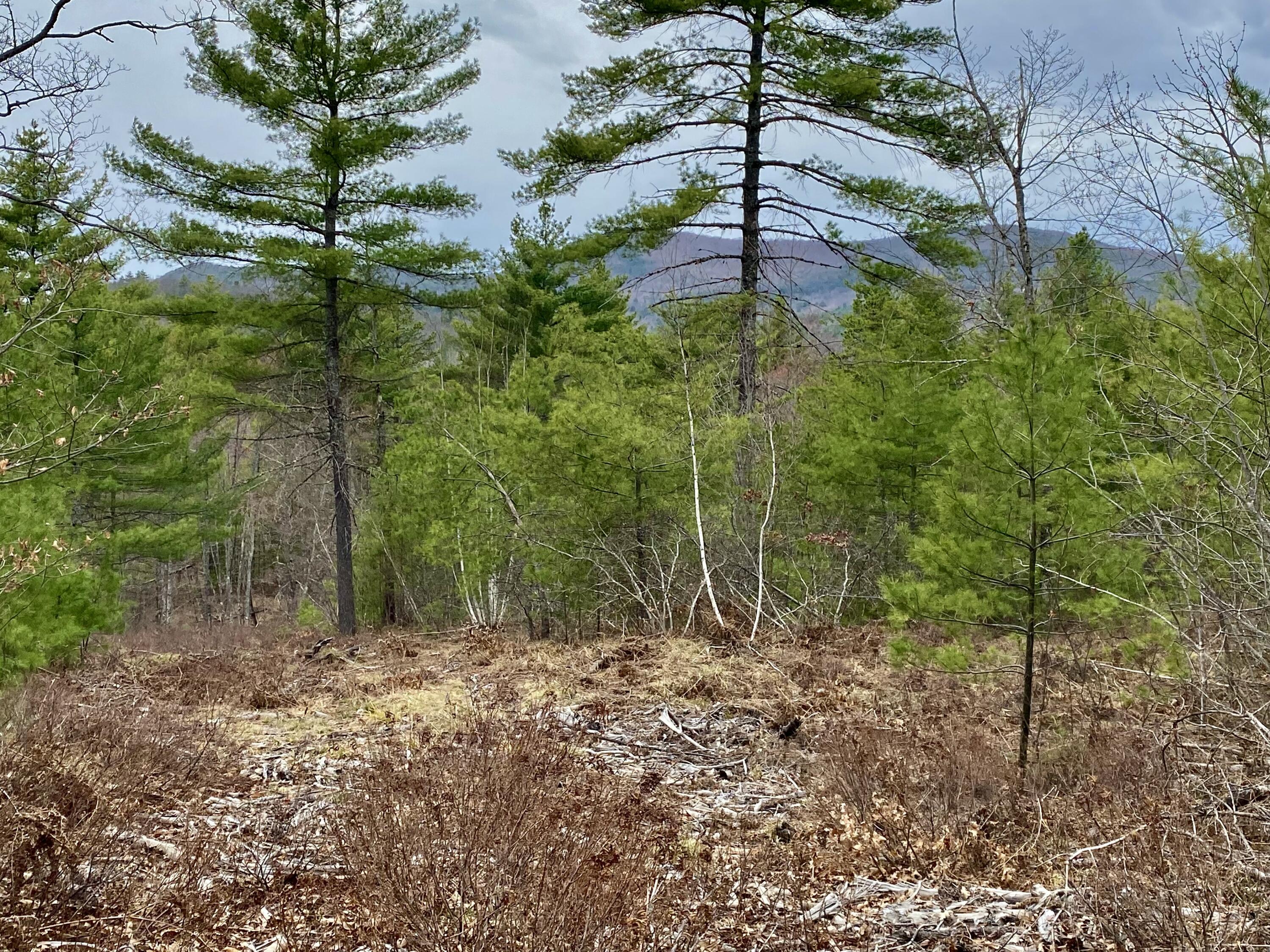 8-15 Notch Road