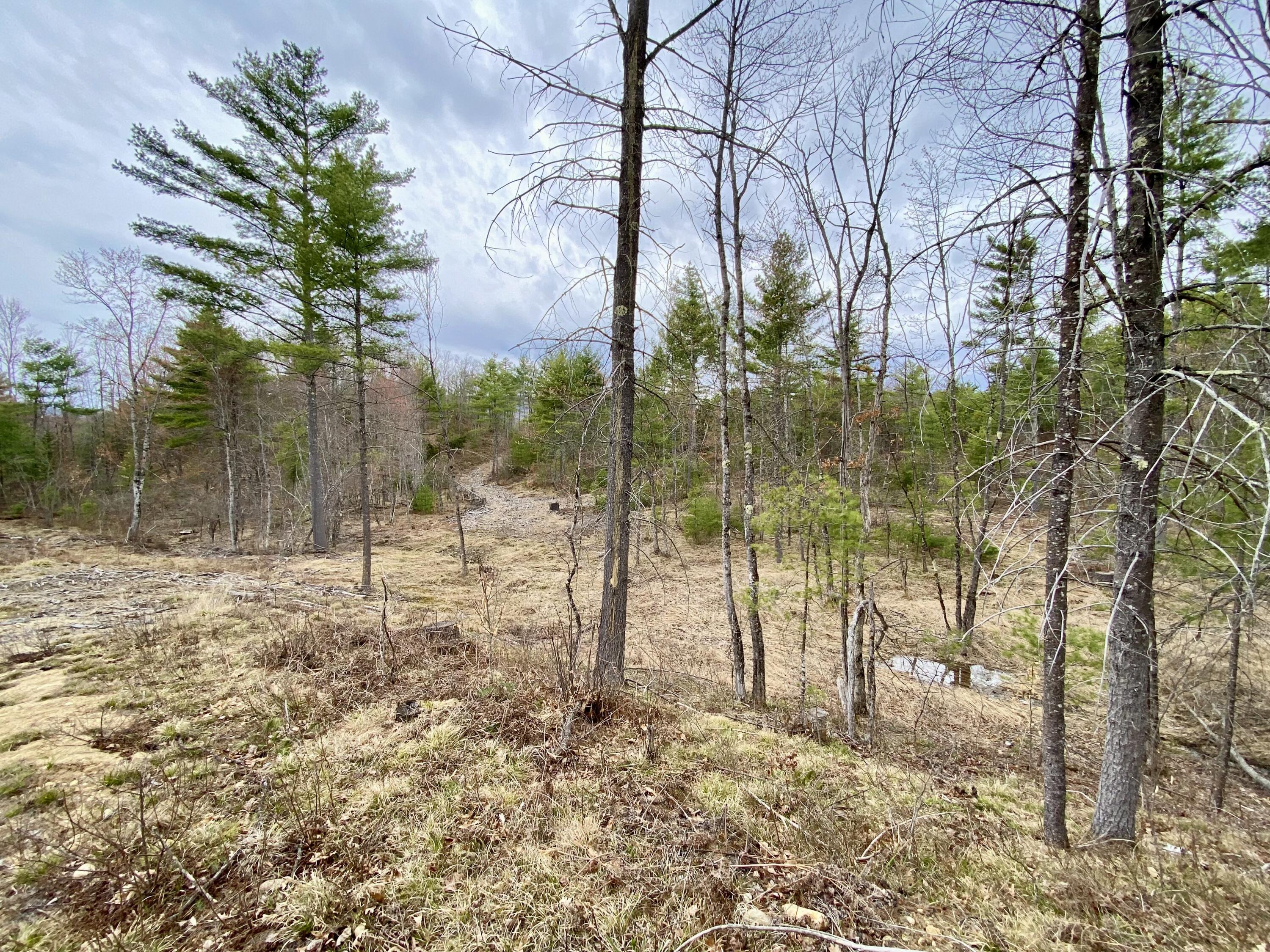 8-15 Notch Road