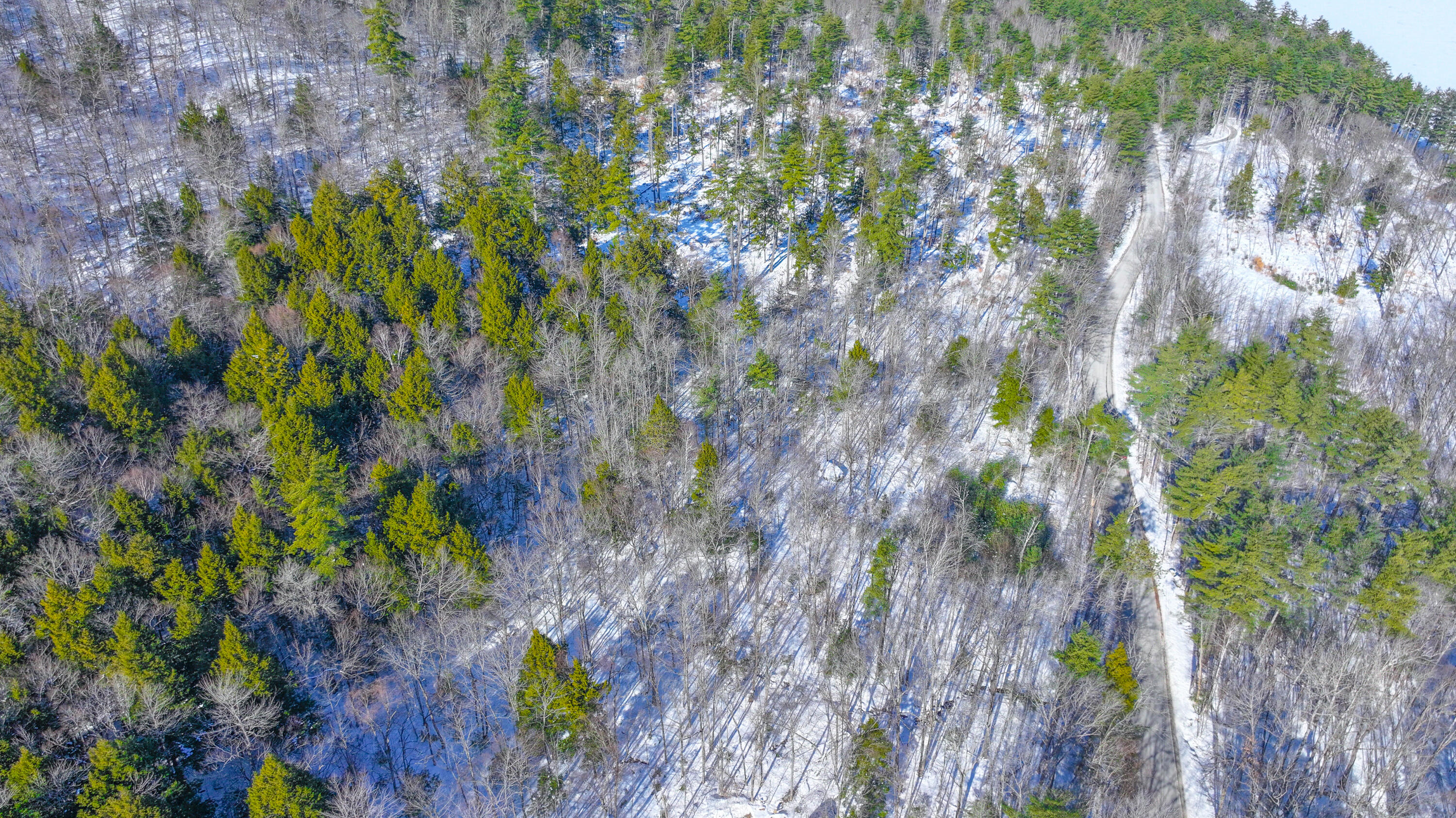 Map19Lot5B Mountain Road