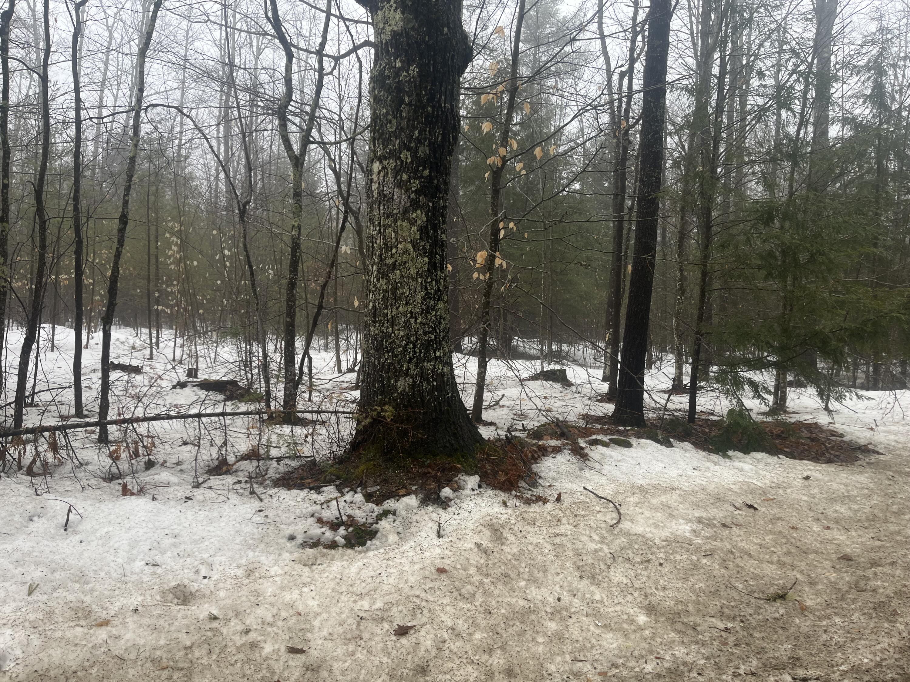 252 Hio Ridge Road