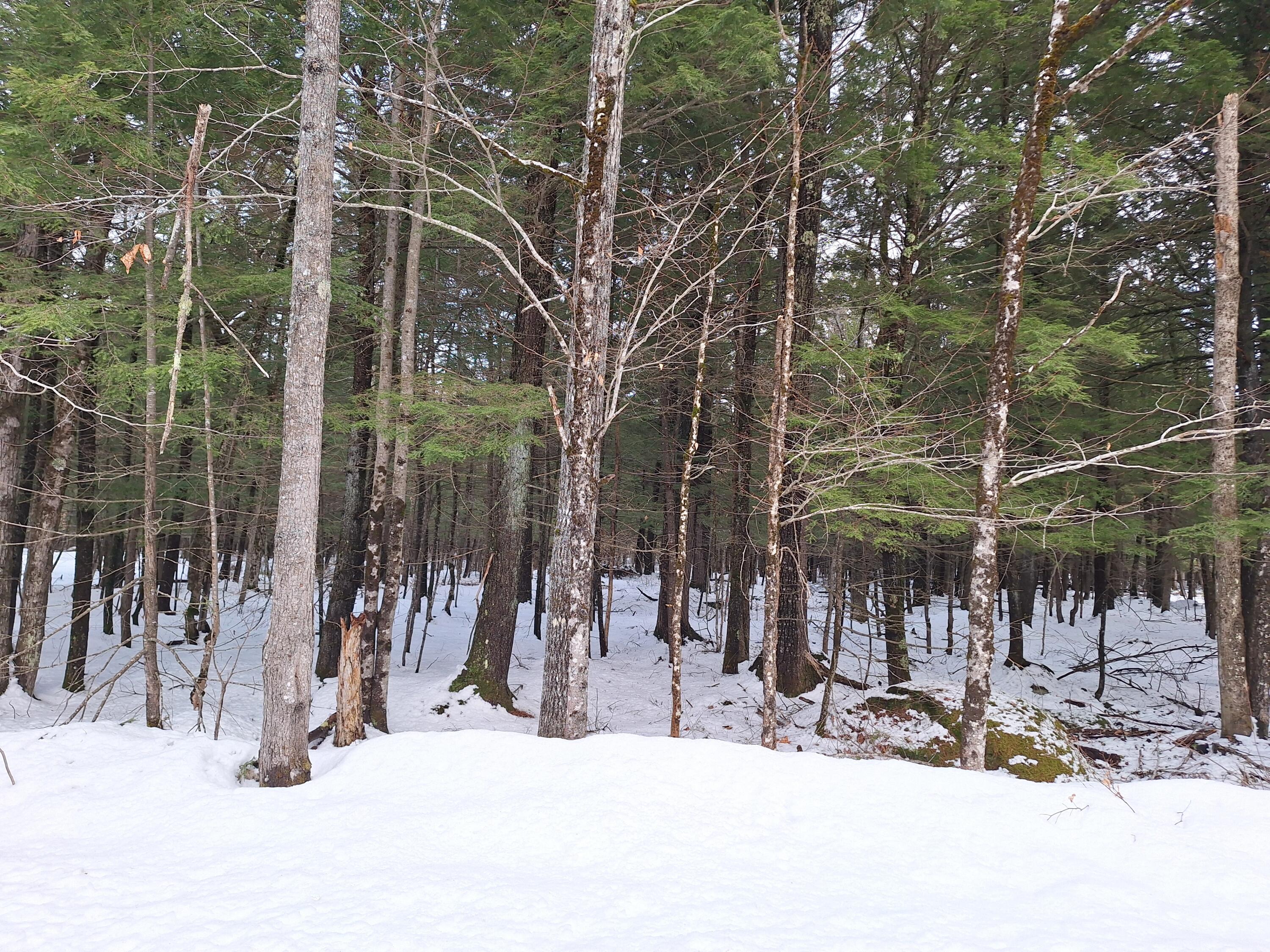 Lot 7B Highland Pines Road