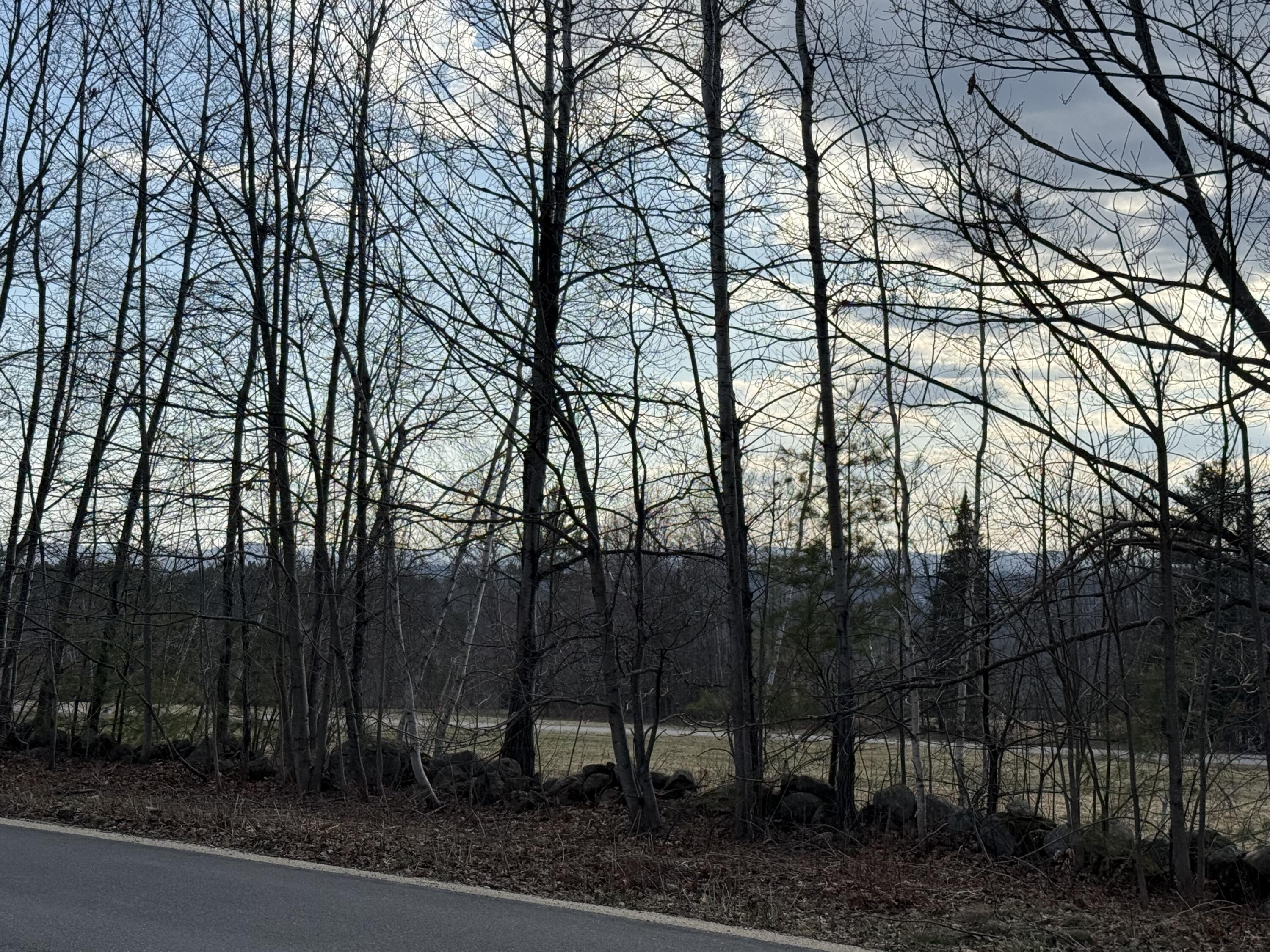 Lot 74.1B Ryerson Hill Road