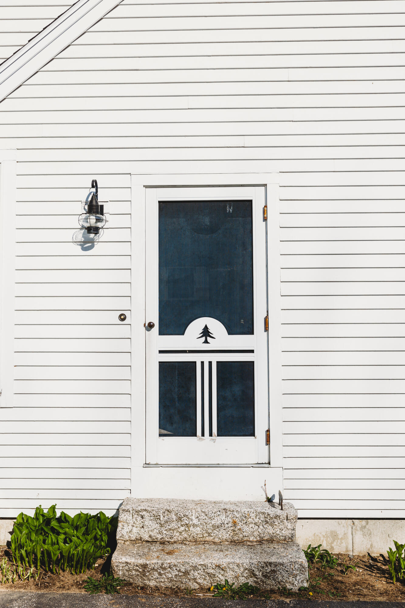 39 Senator Black Road