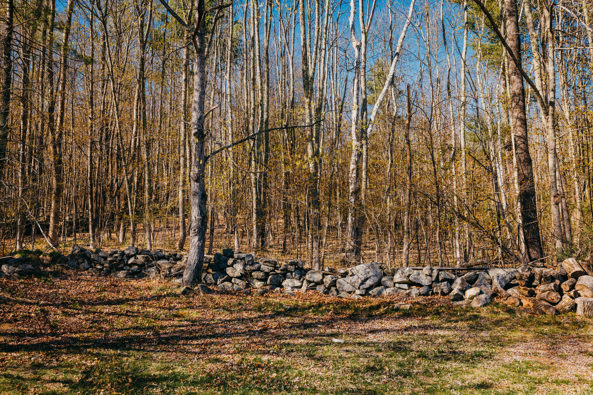 39 Senator Black Road