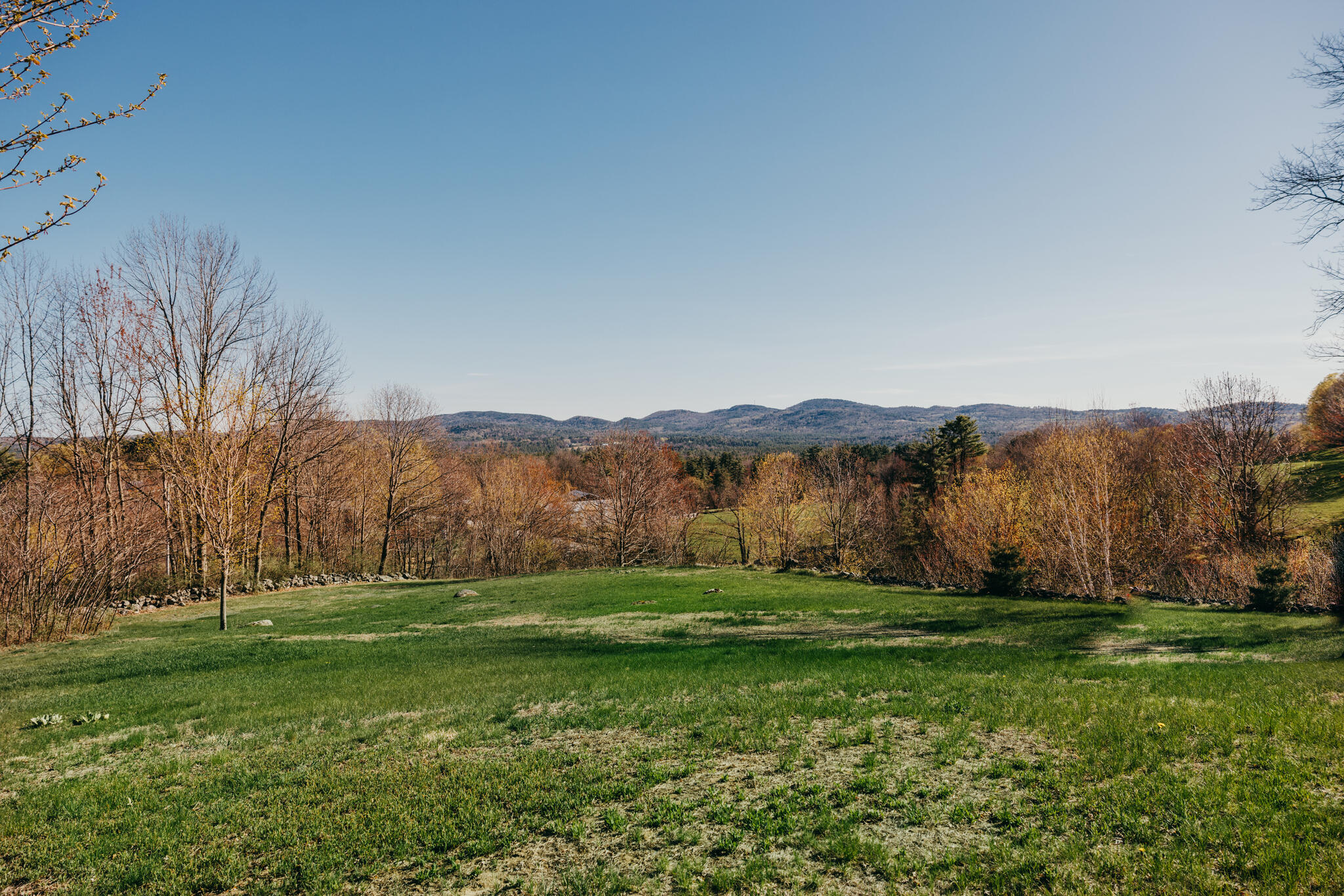 39 Senator Black Road