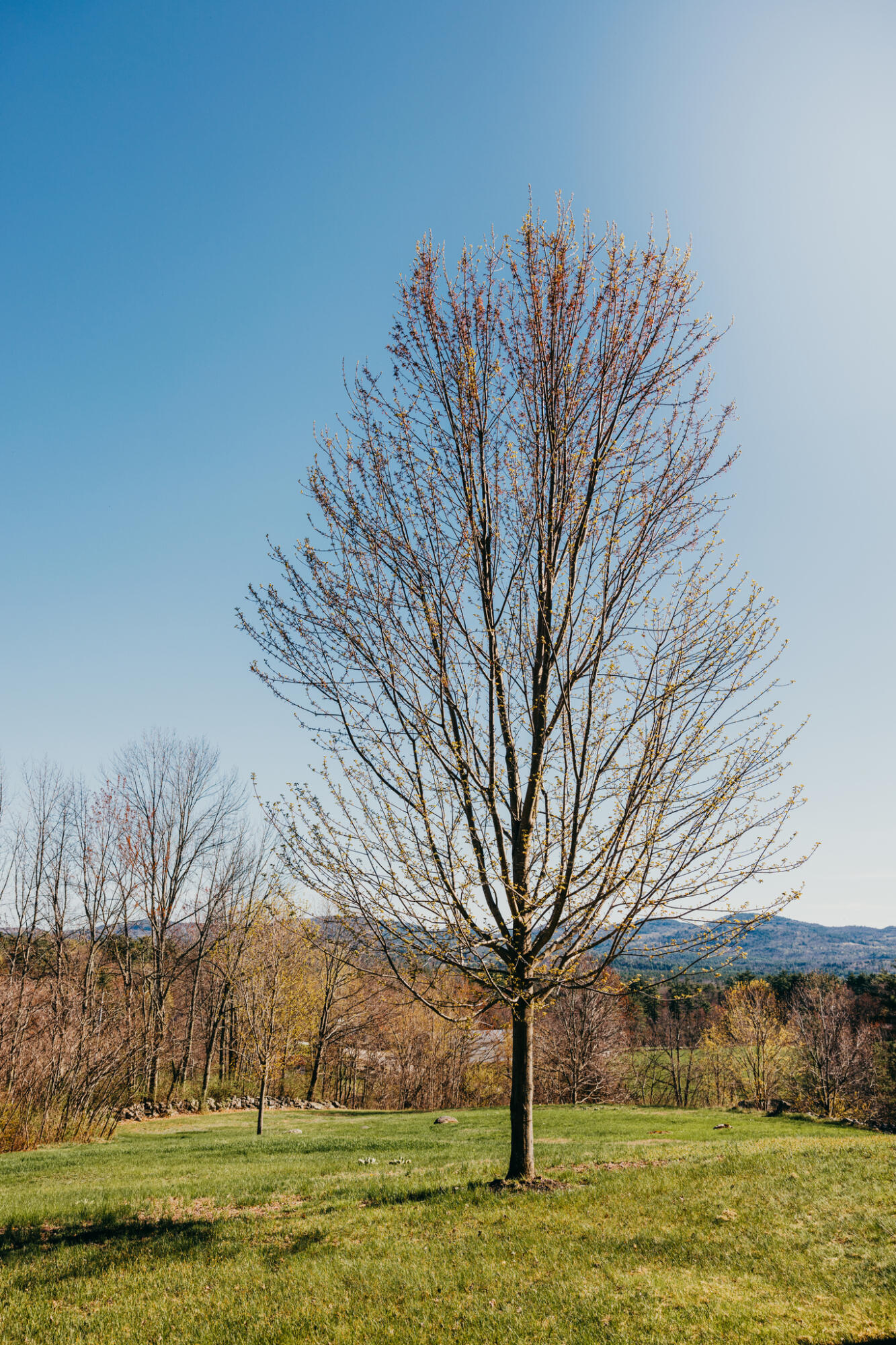 39 Senator Black Road