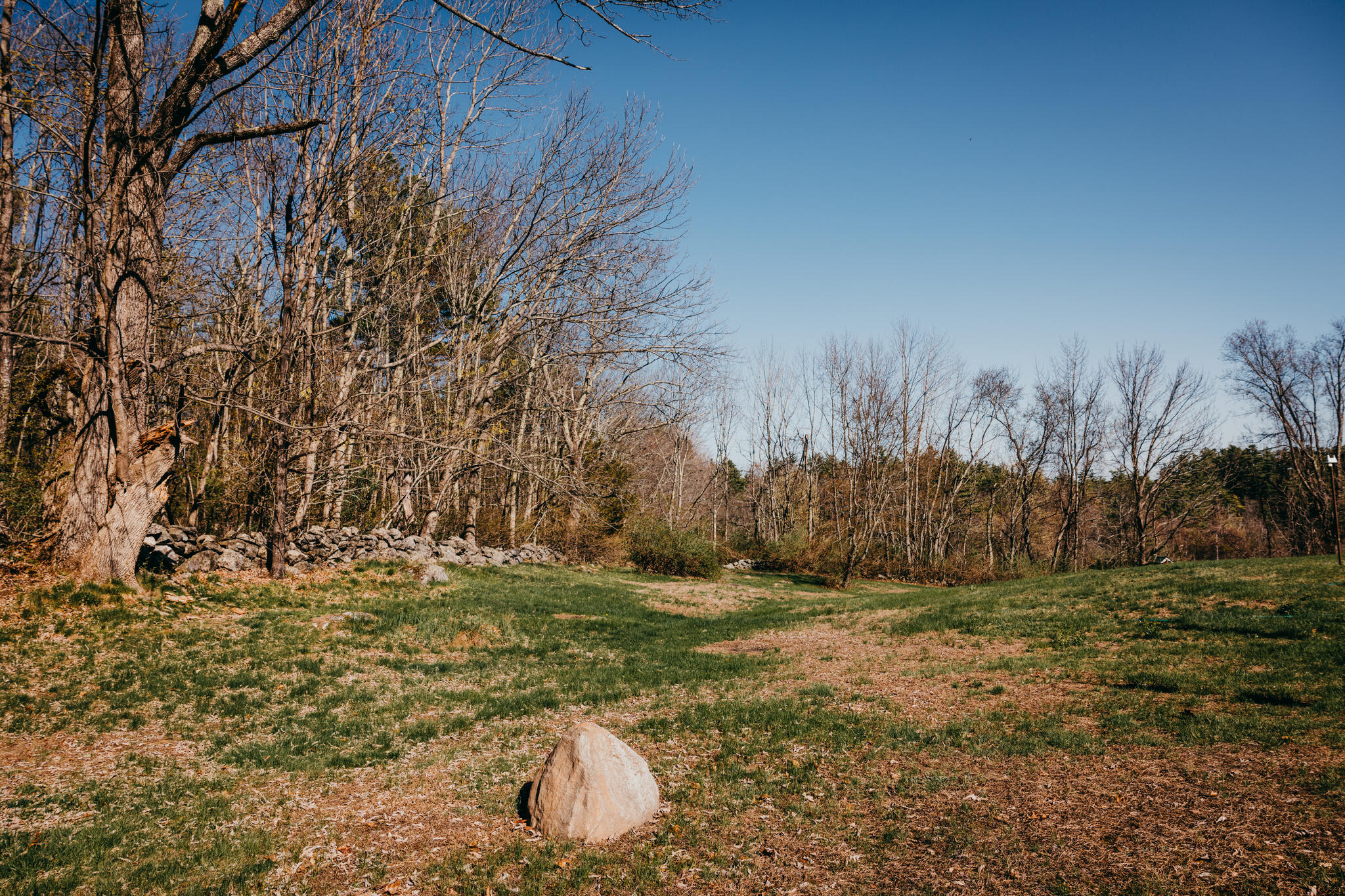 39 Senator Black Road