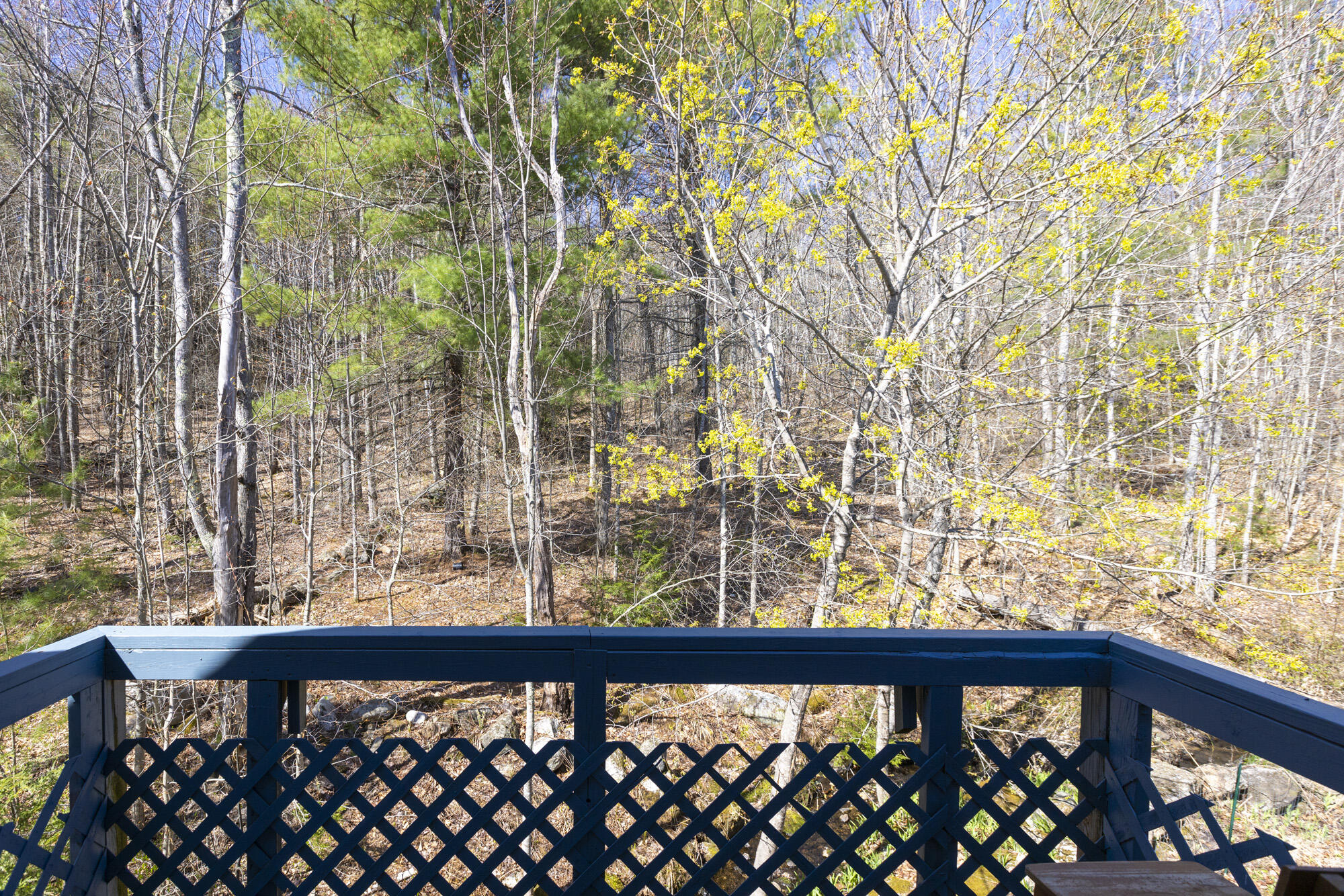 236 Del Chadbourne Road