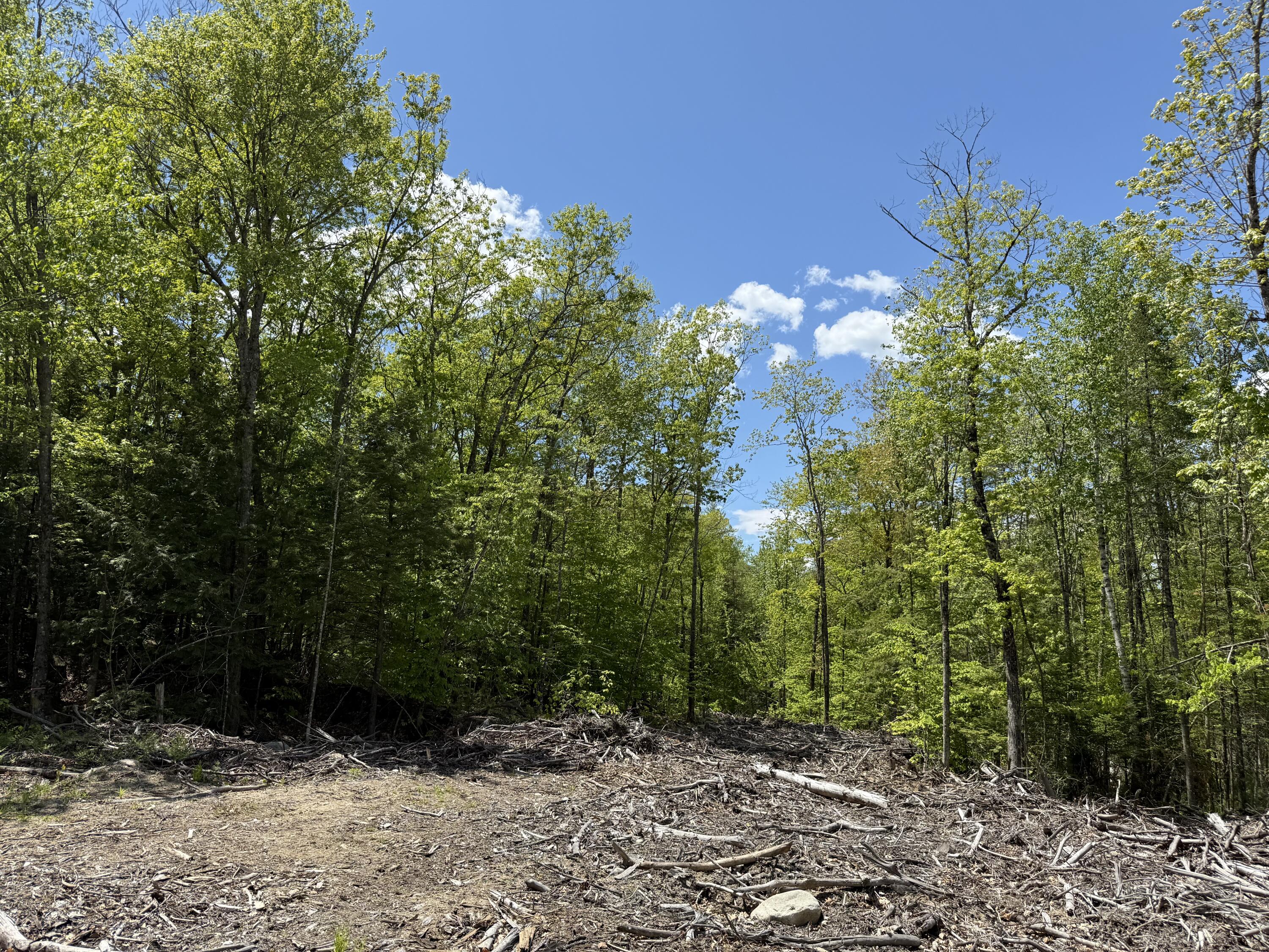 Lot 1 Naples Road