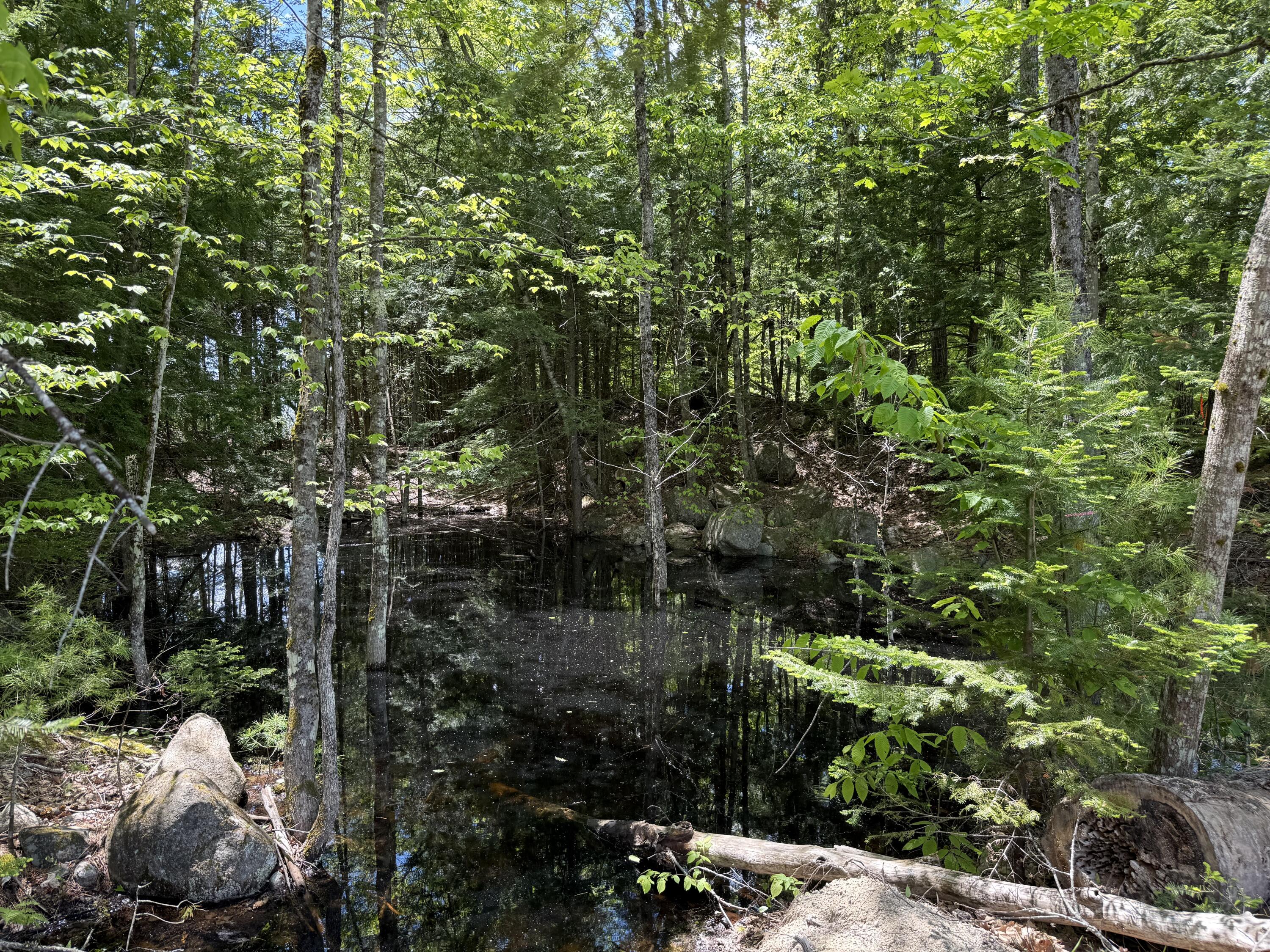 Lot 1 Naples Road