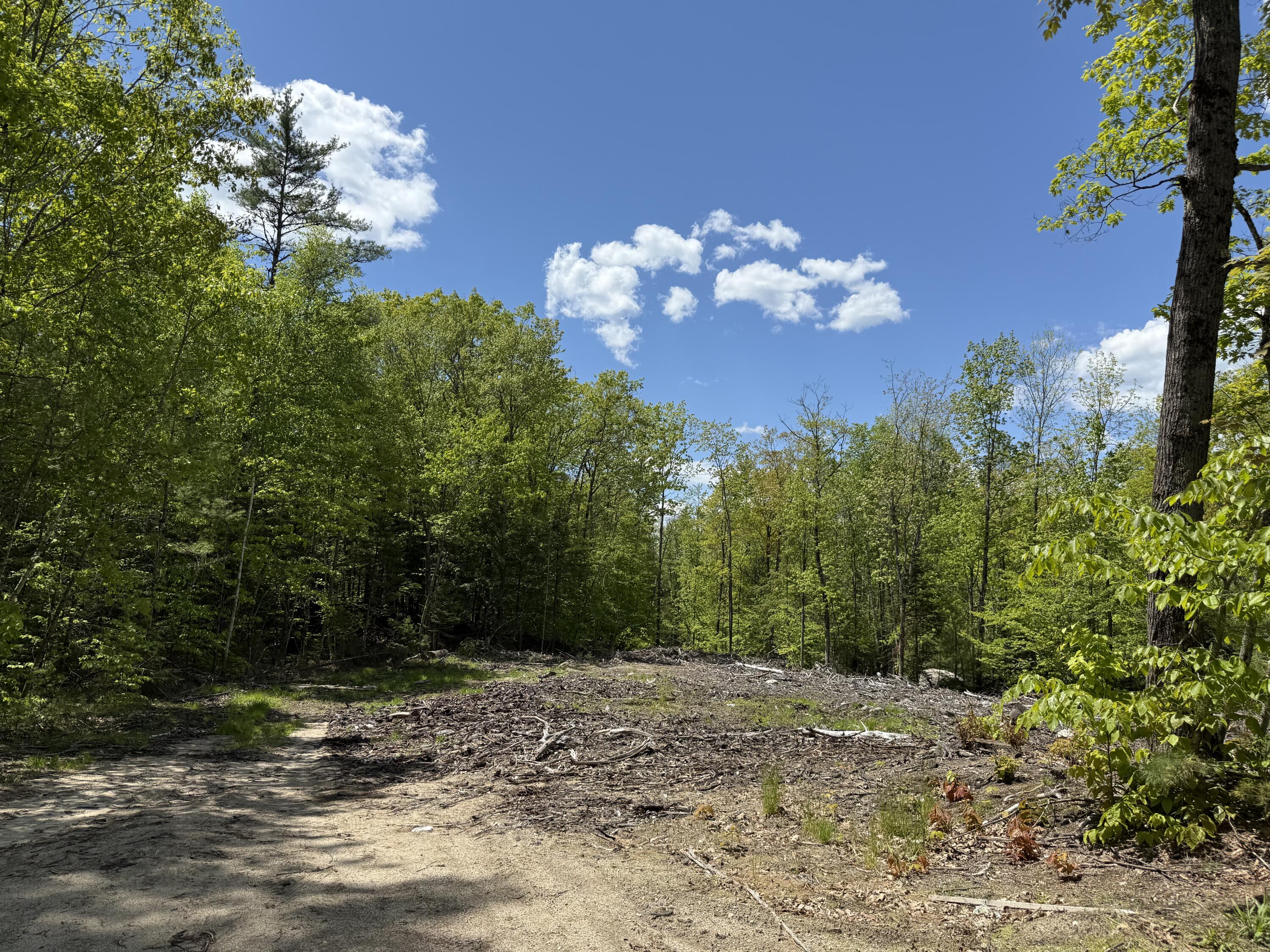 Lot 1 Naples Road