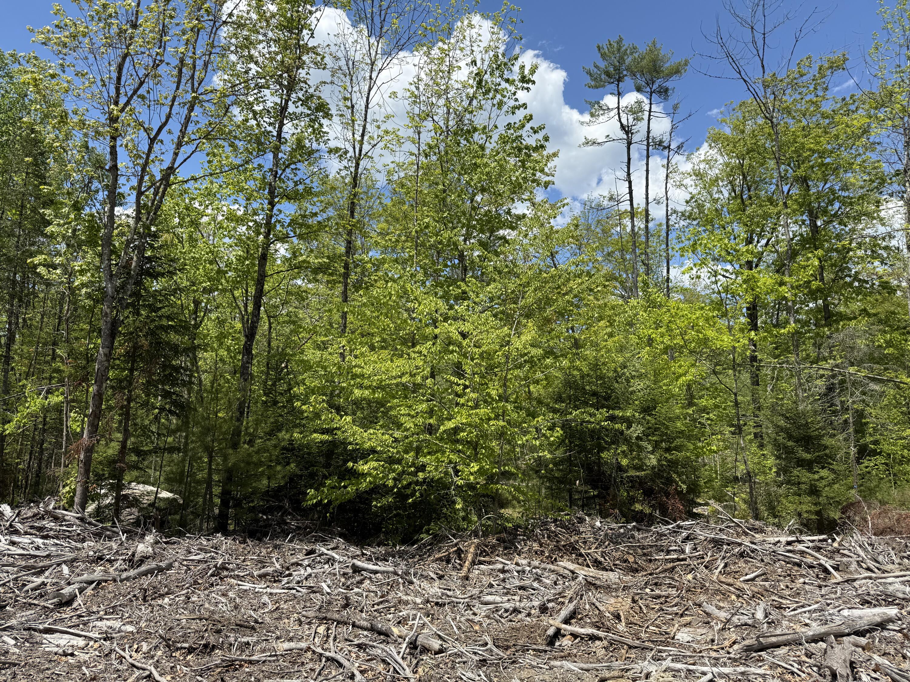 Lot 1 Naples Road