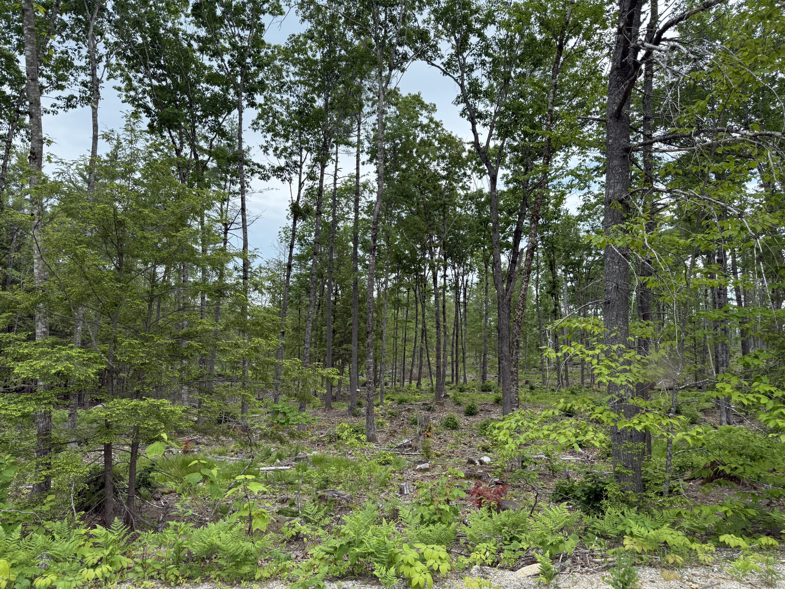 Lot 3 Isaac Stevens Road