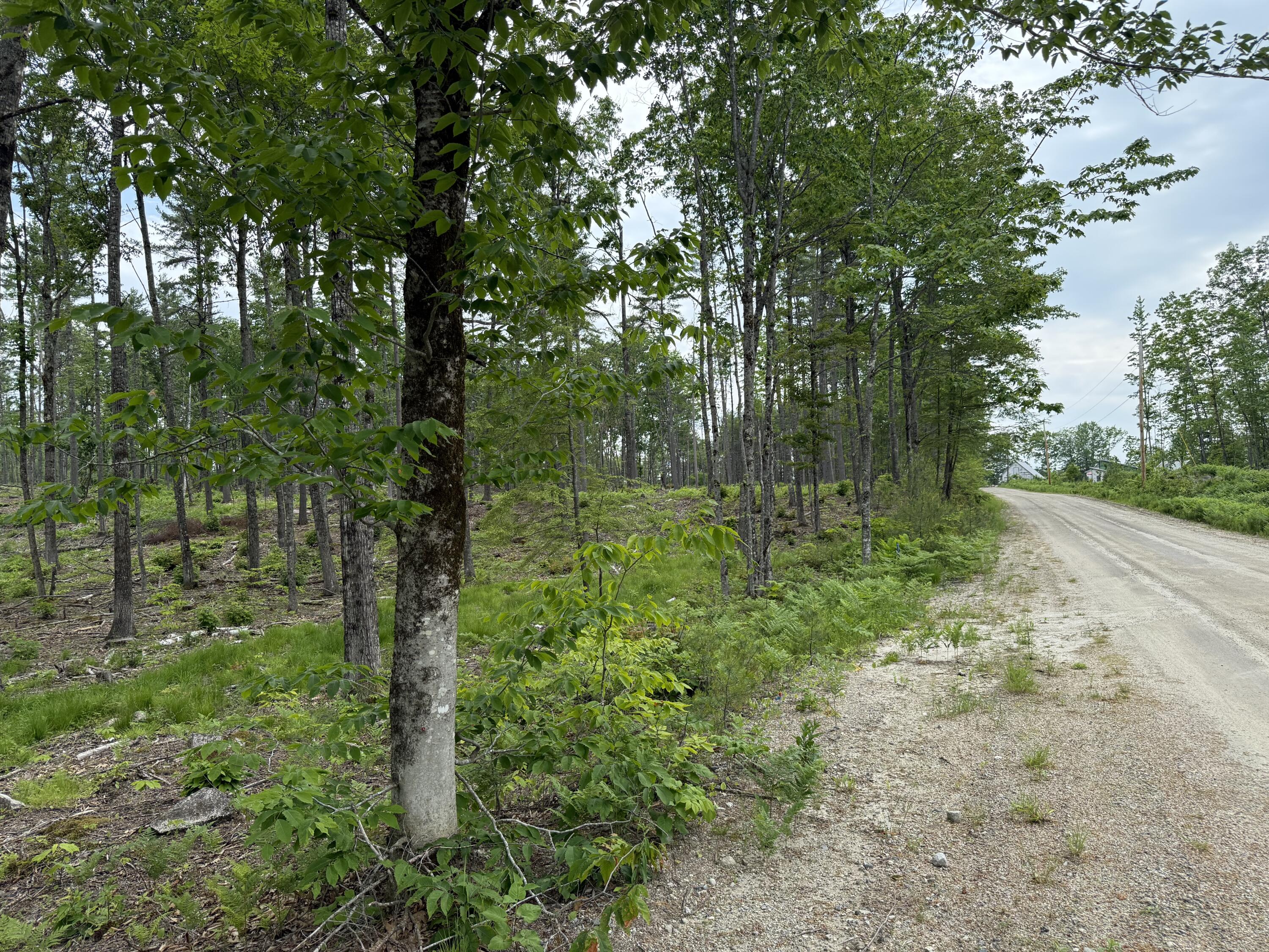 Lot 3 Isaac Stevens Road