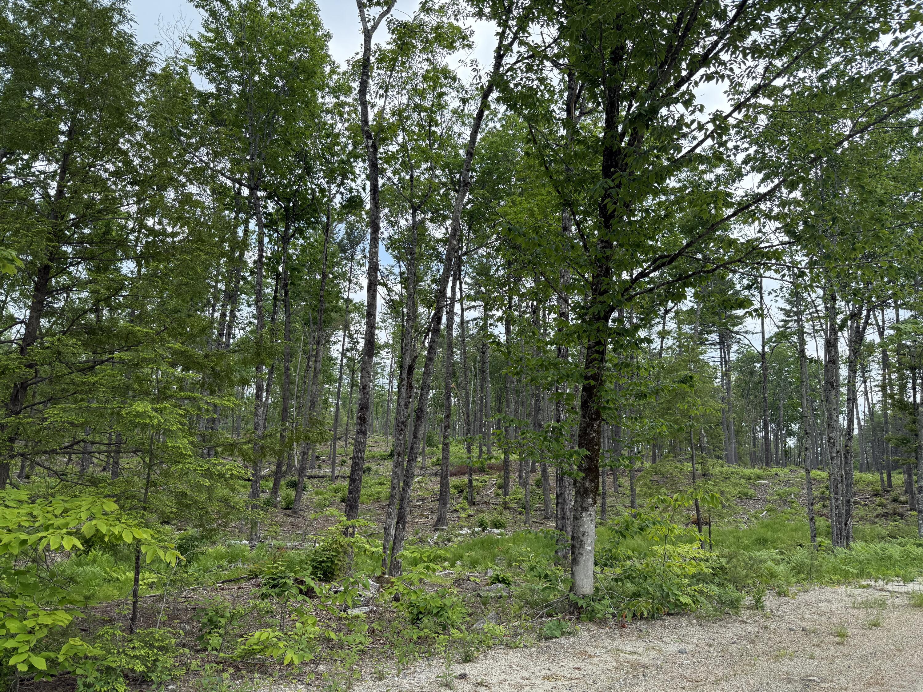 Lot 3 Isaac Stevens Road