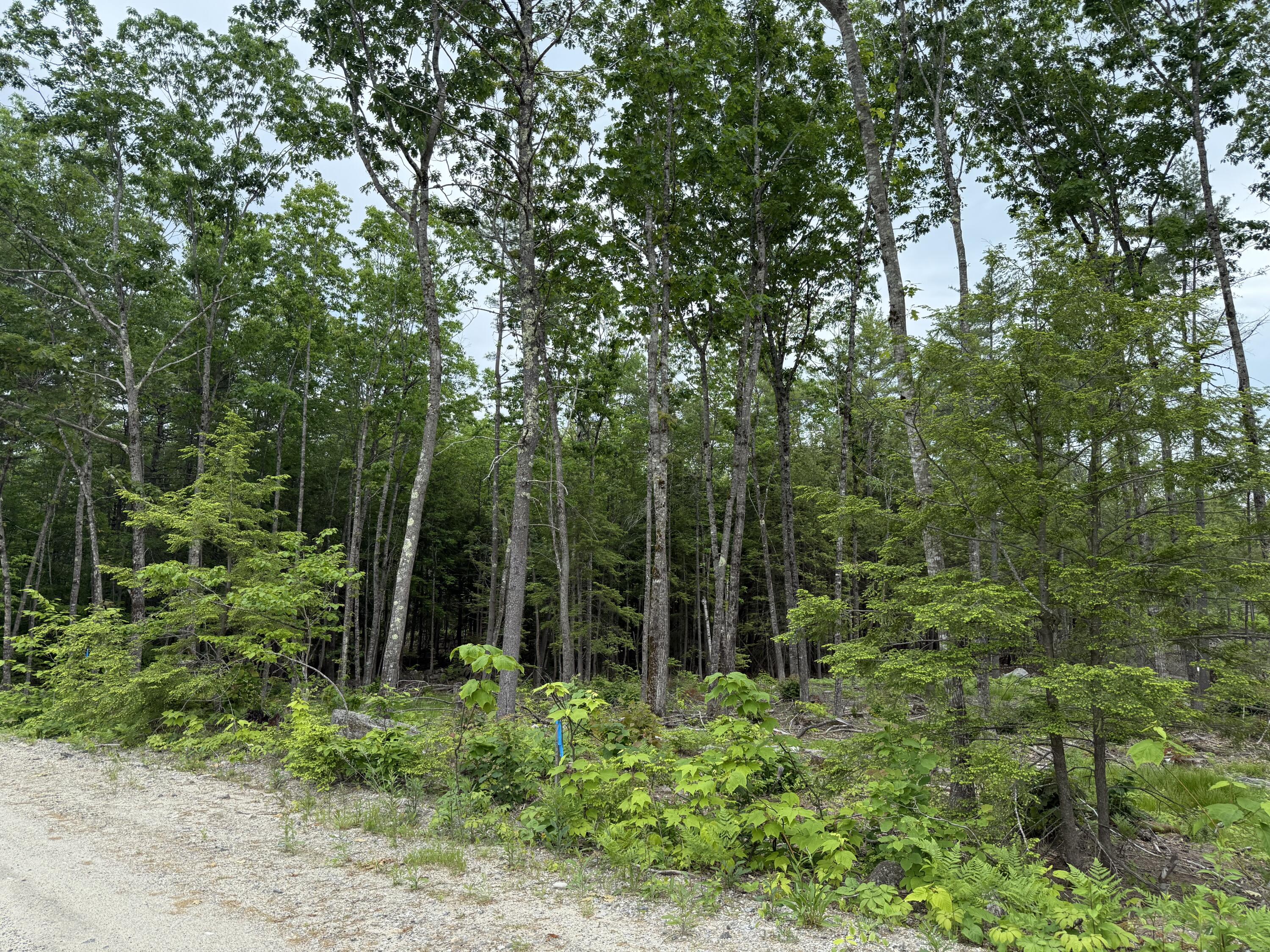 Lot 3 Isaac Stevens Road