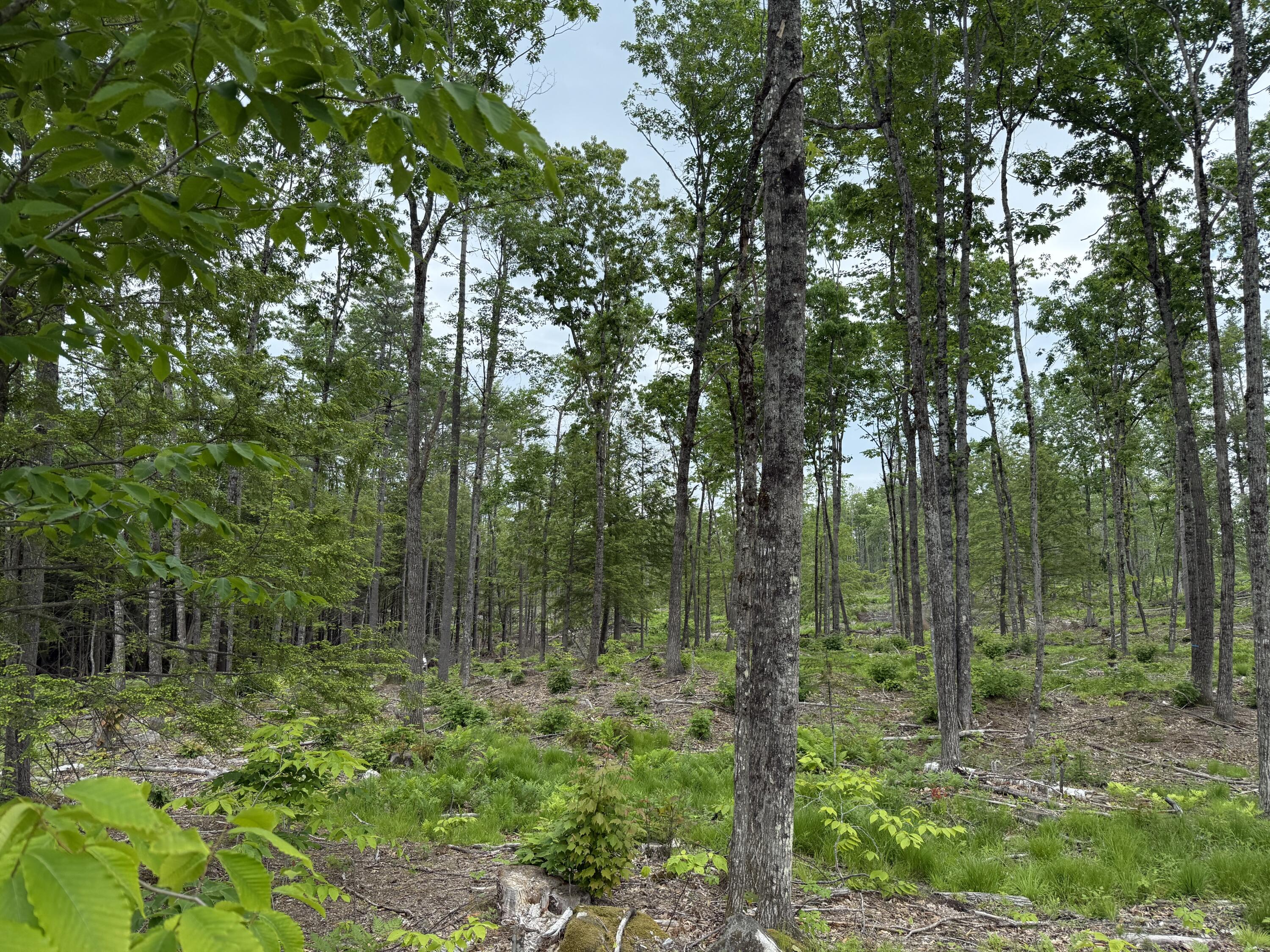 Lot 3 Isaac Stevens Road