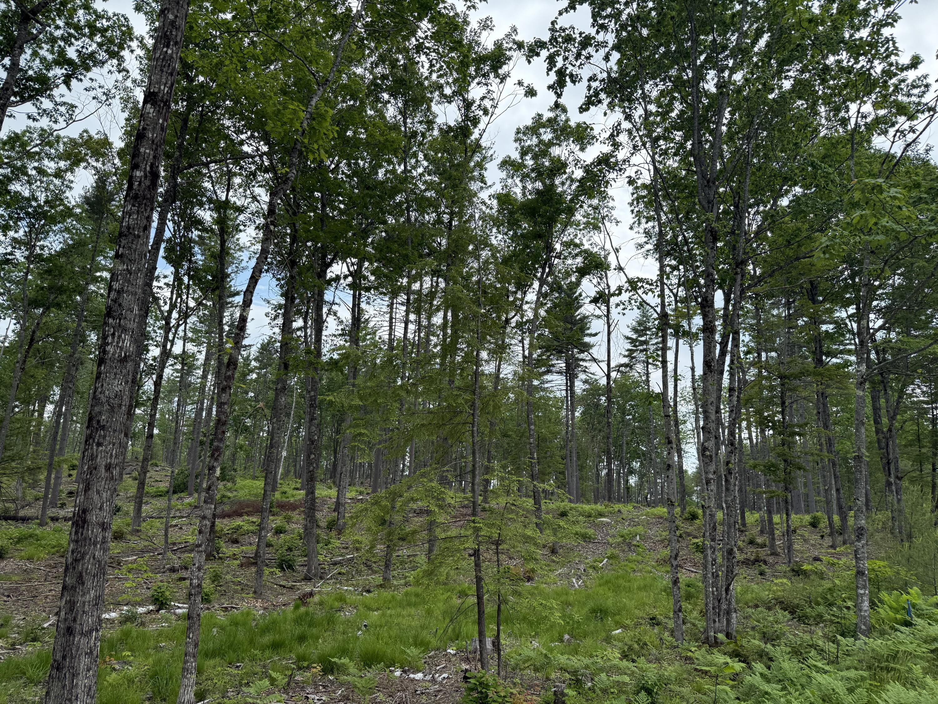 Lot 3 Isaac Stevens Road