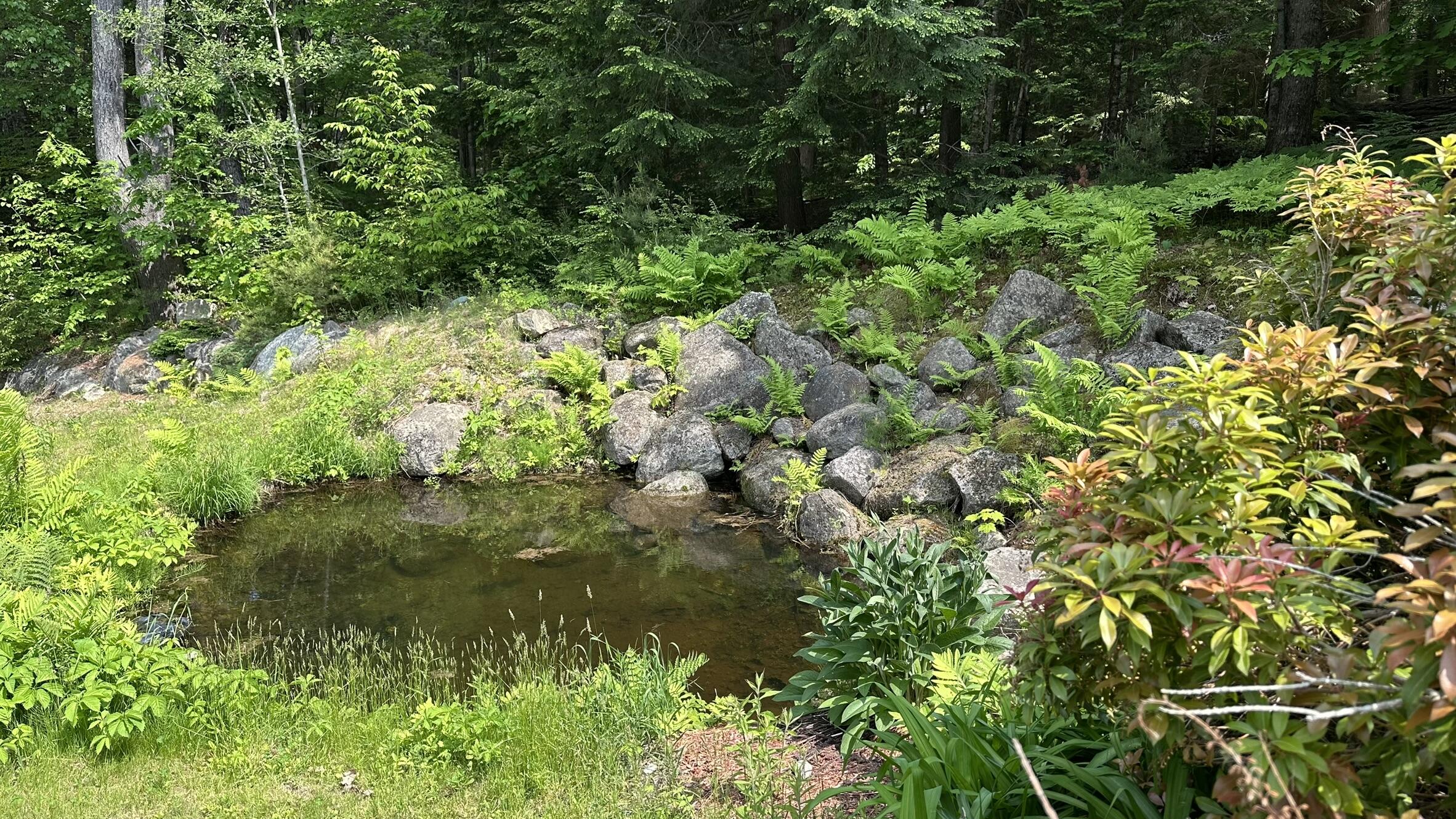 81 Maple Ridge Road