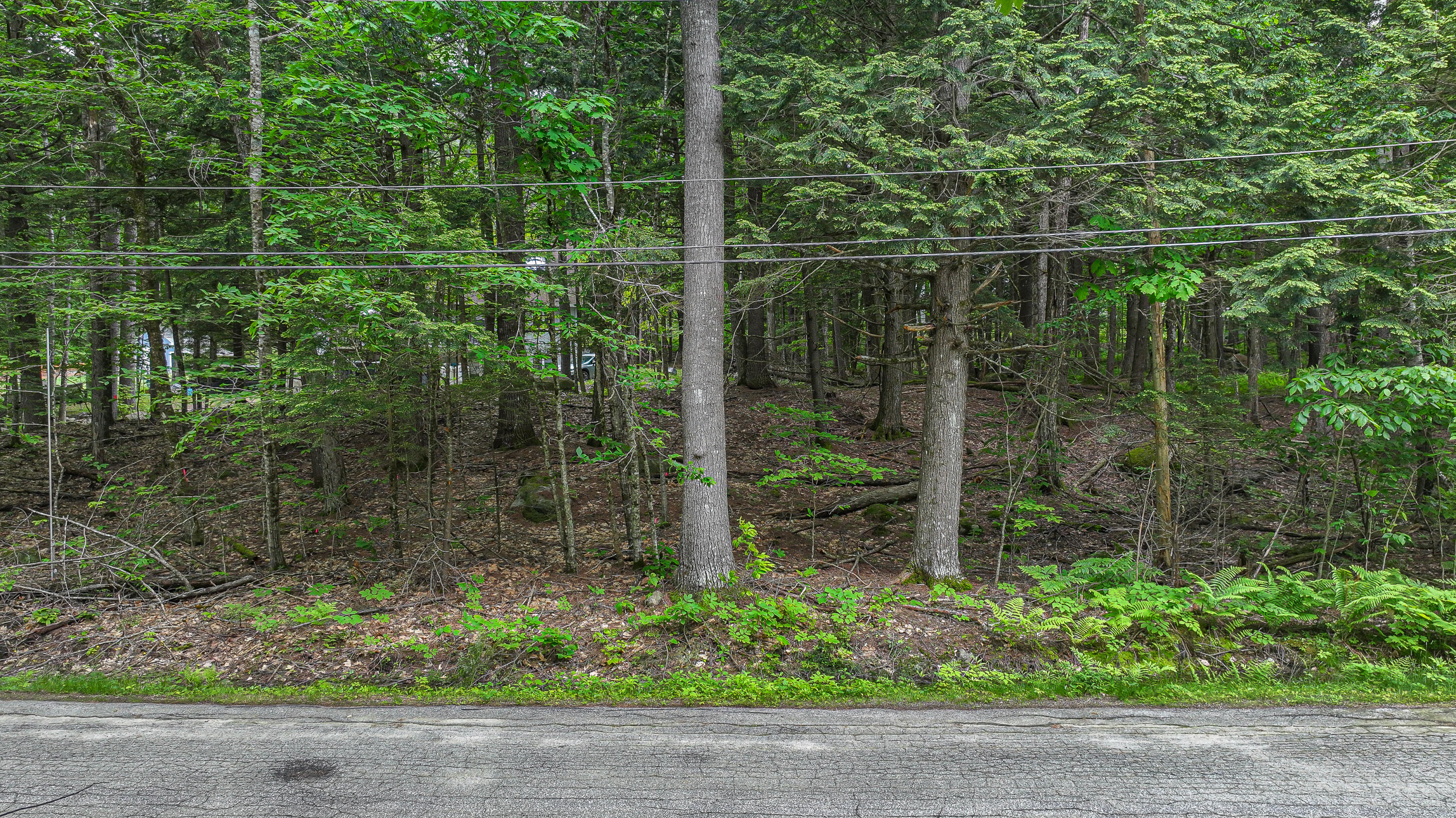 Lot M14 Winterberry Lane