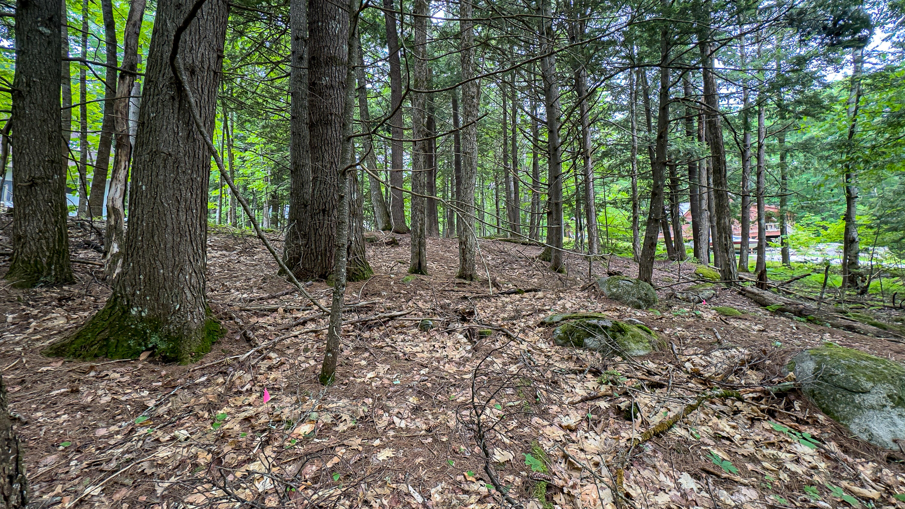 Lot M14 Winterberry Lane