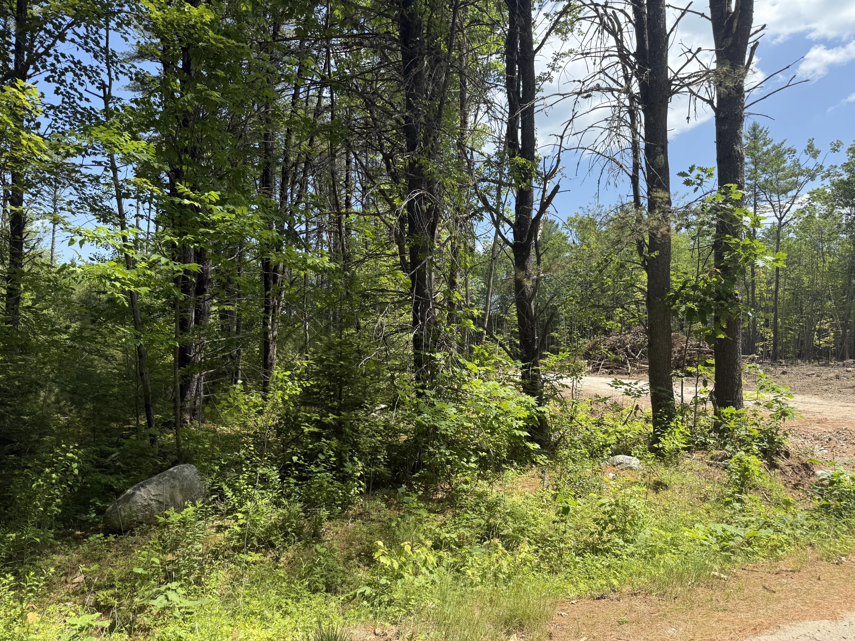Lot 20 Wildwood Road