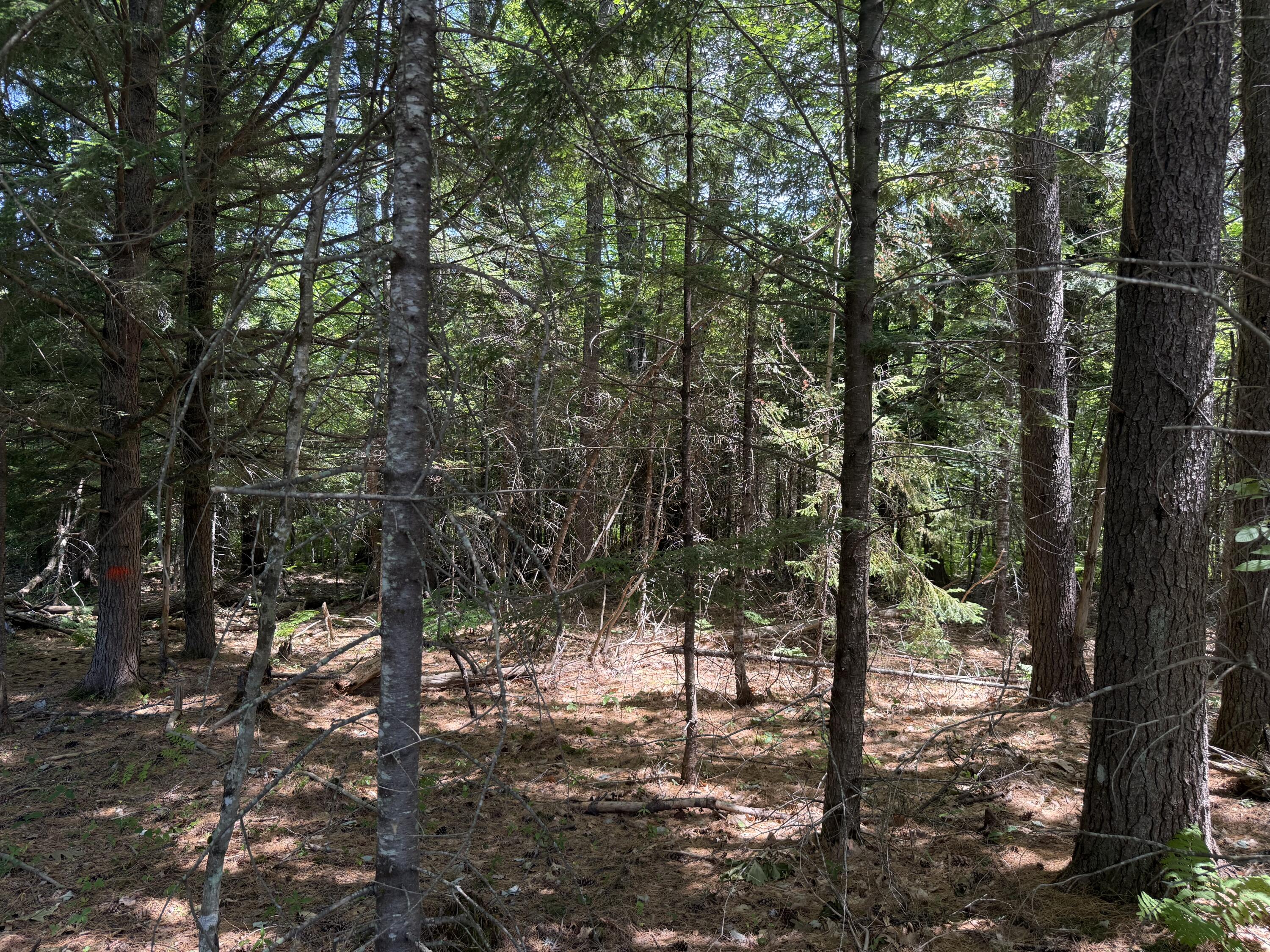 Lot 20 Wildwood Road