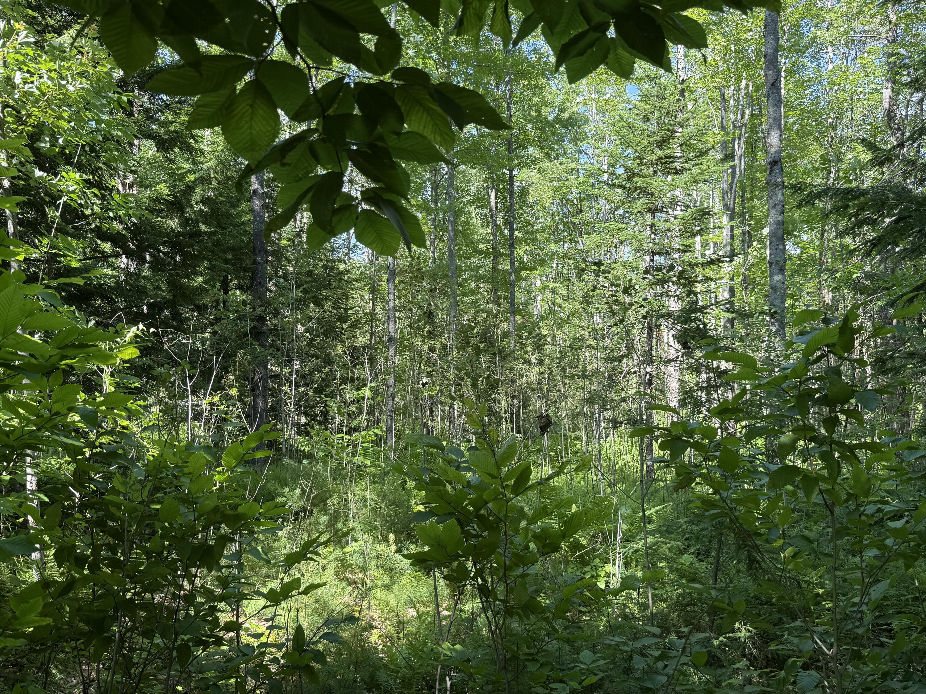 Lot 18 Kimball Road