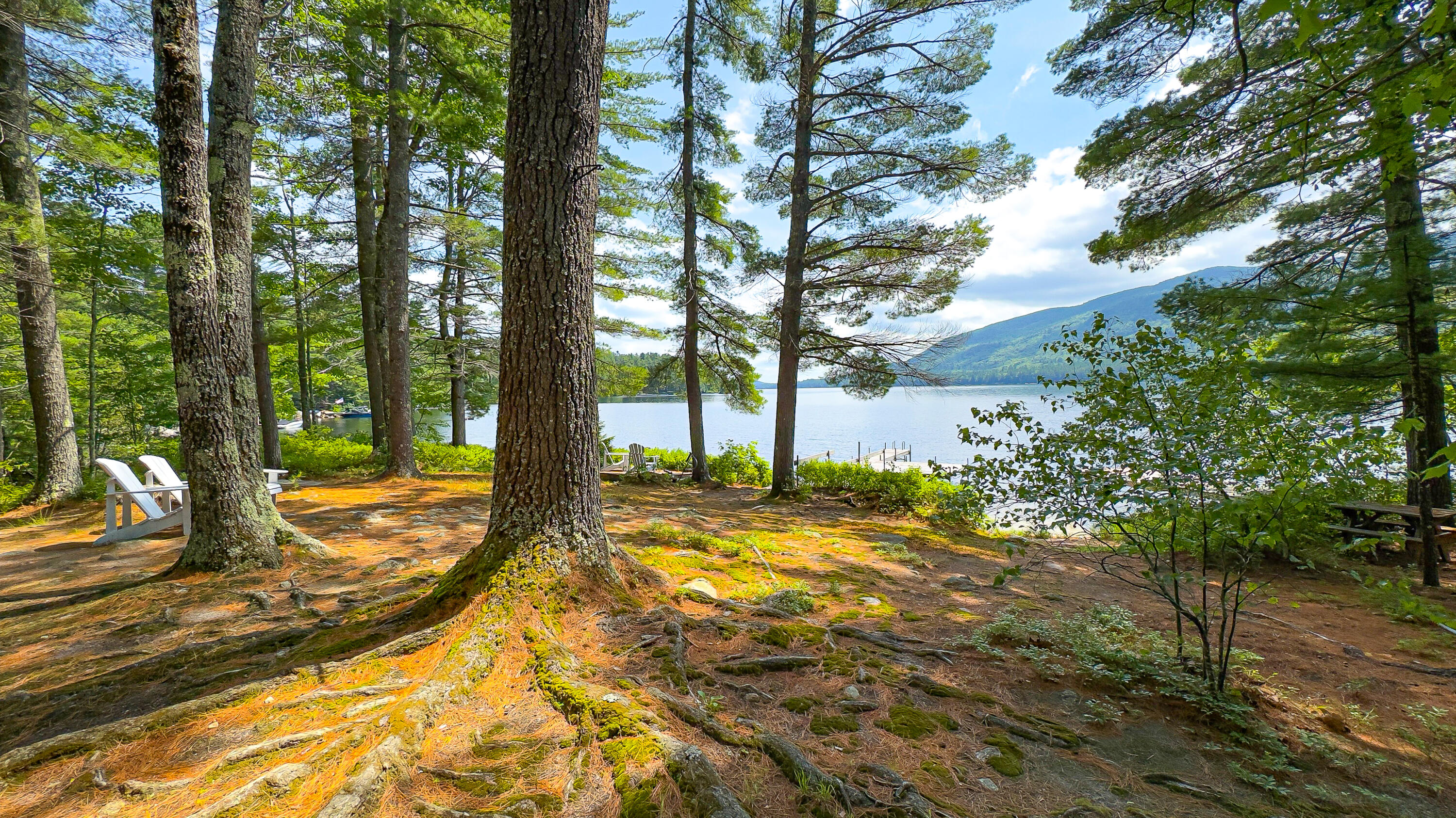 41 Sucker Brook Road