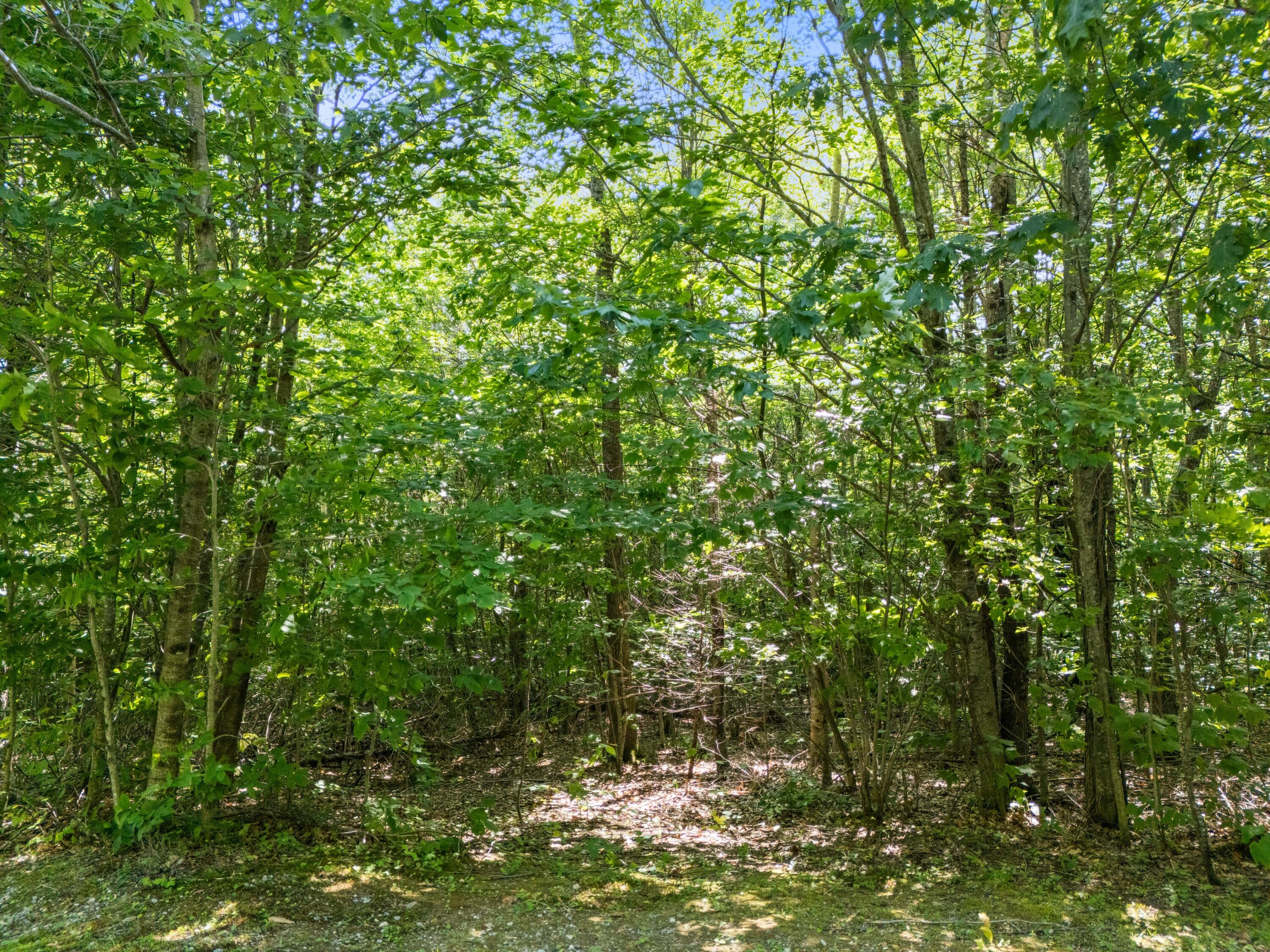 Lot 3 Fuller Hill Road
