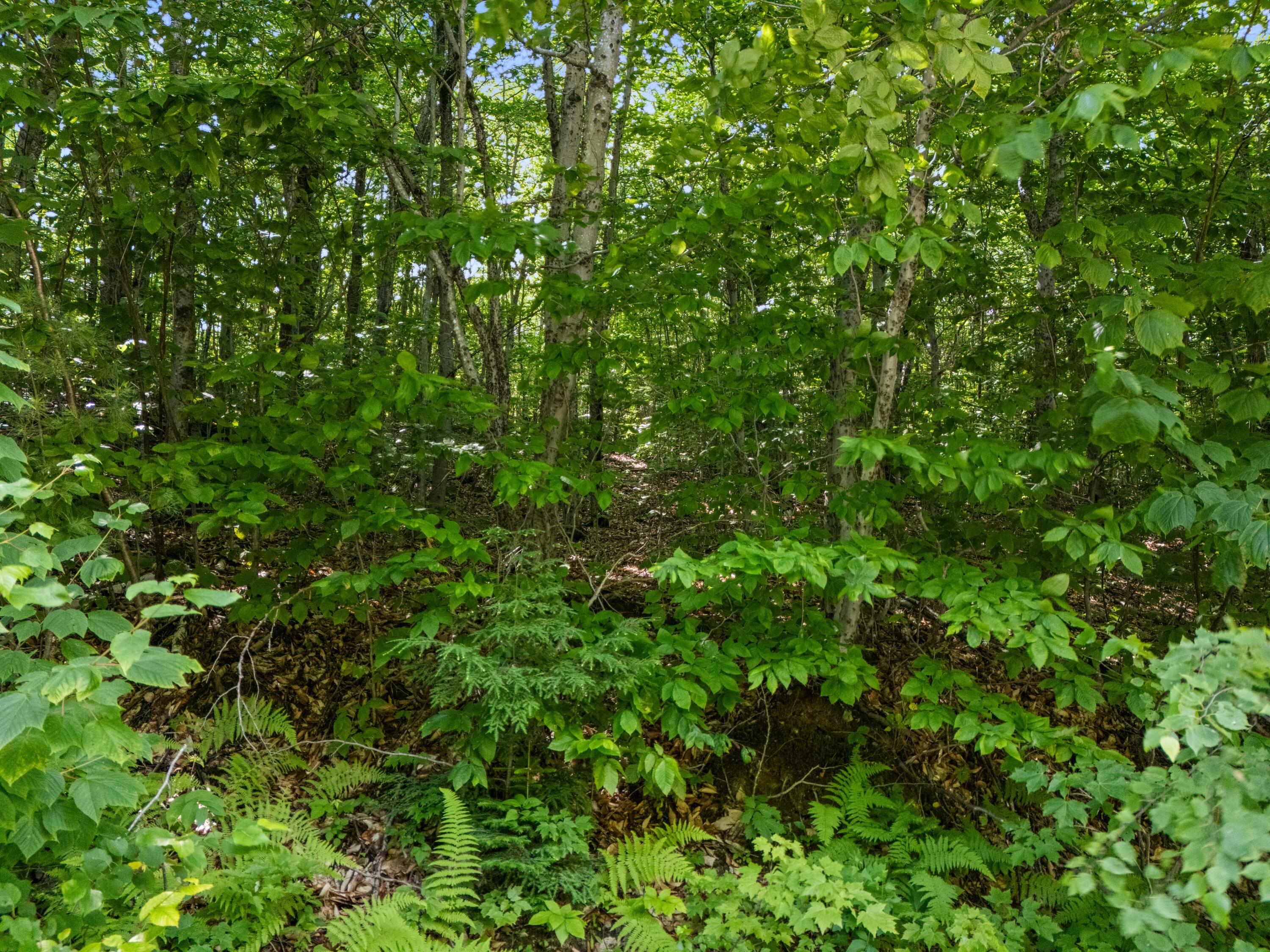 Lot 3 Fuller Hill Road