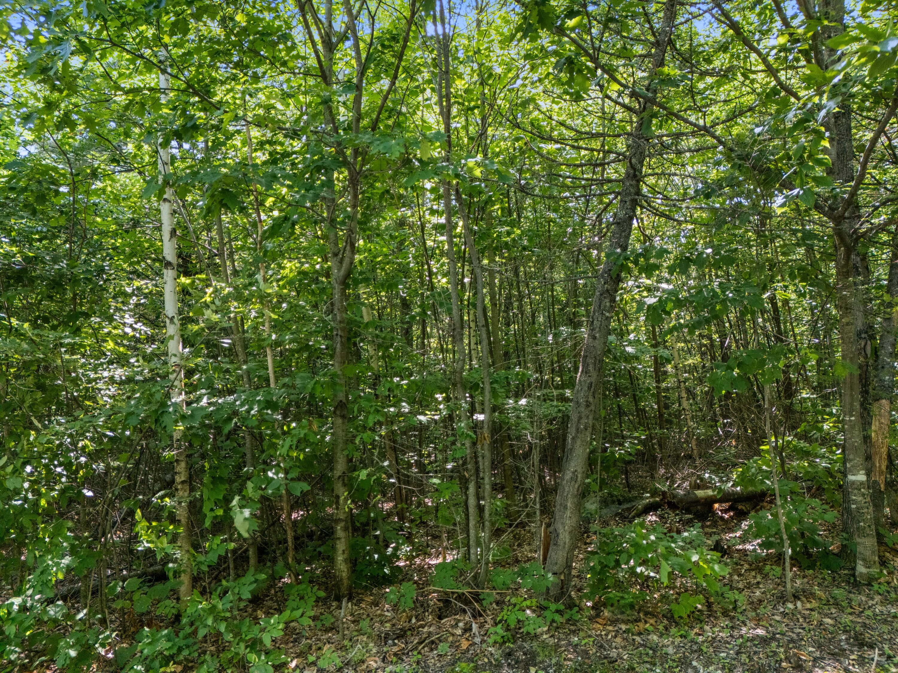 Lot 3 Fuller Hill Road