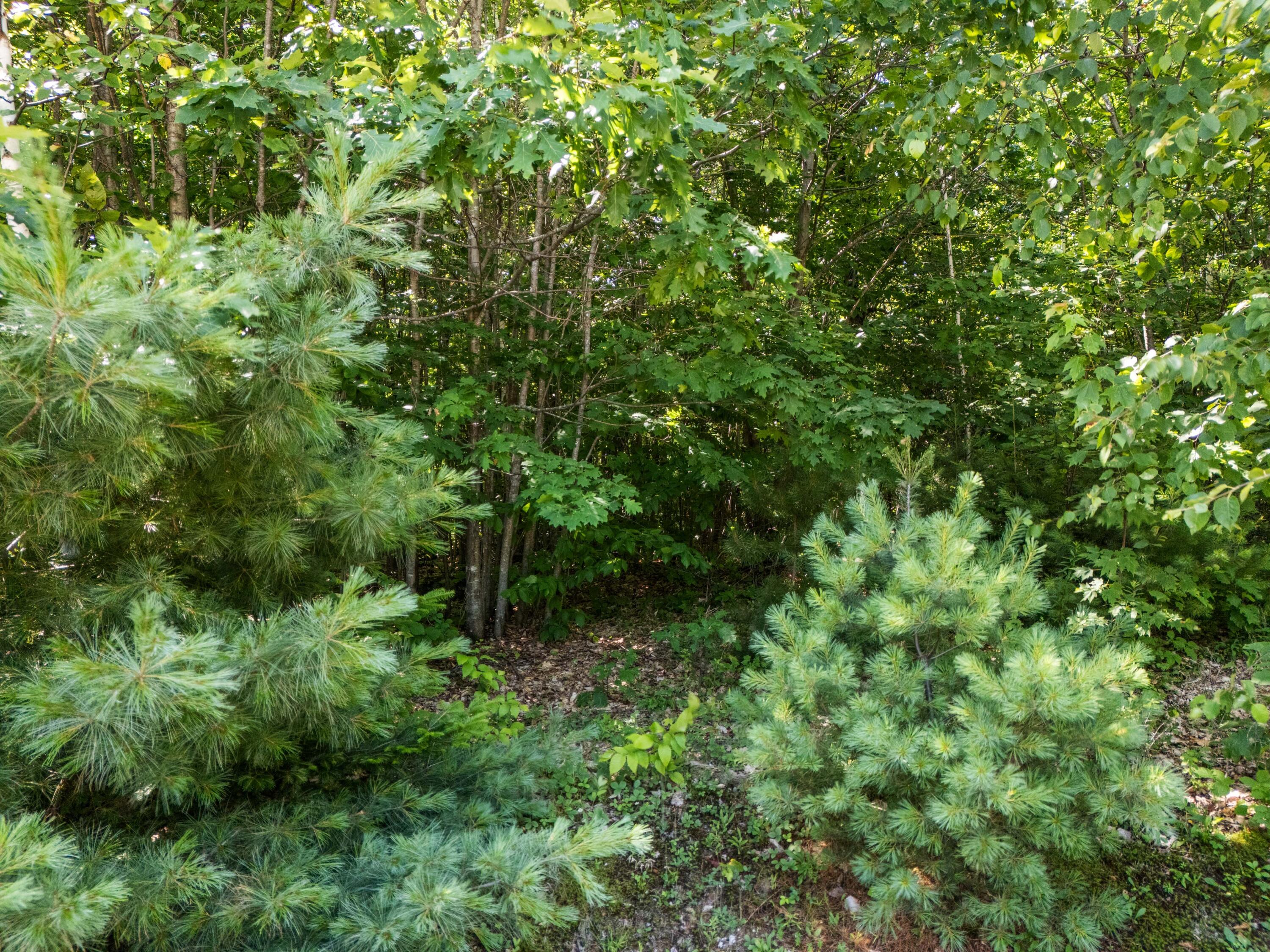 Lot 3 Fuller Hill Road