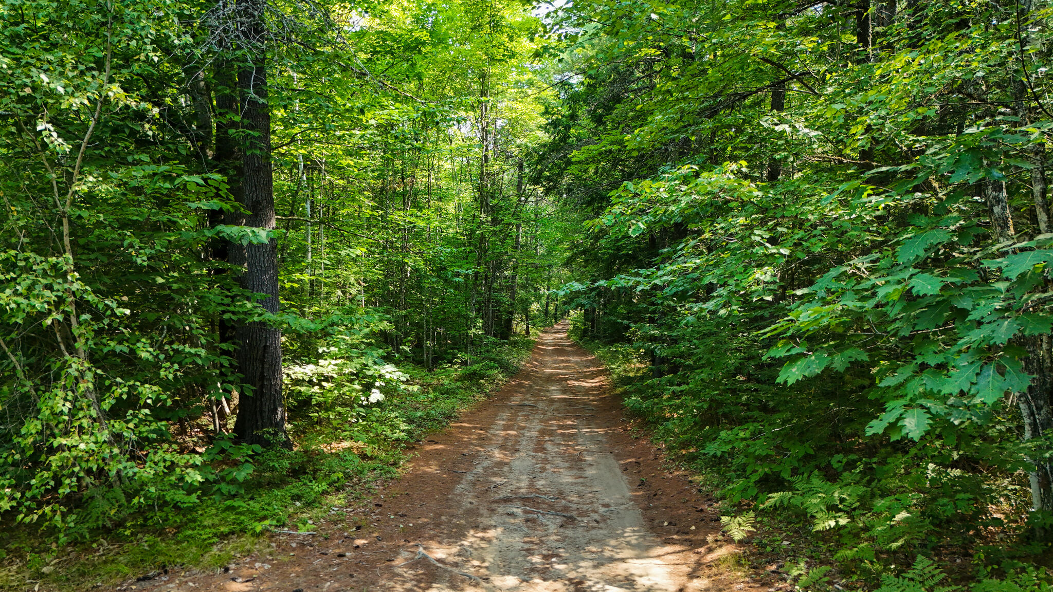 Lot #18 Ellis Road