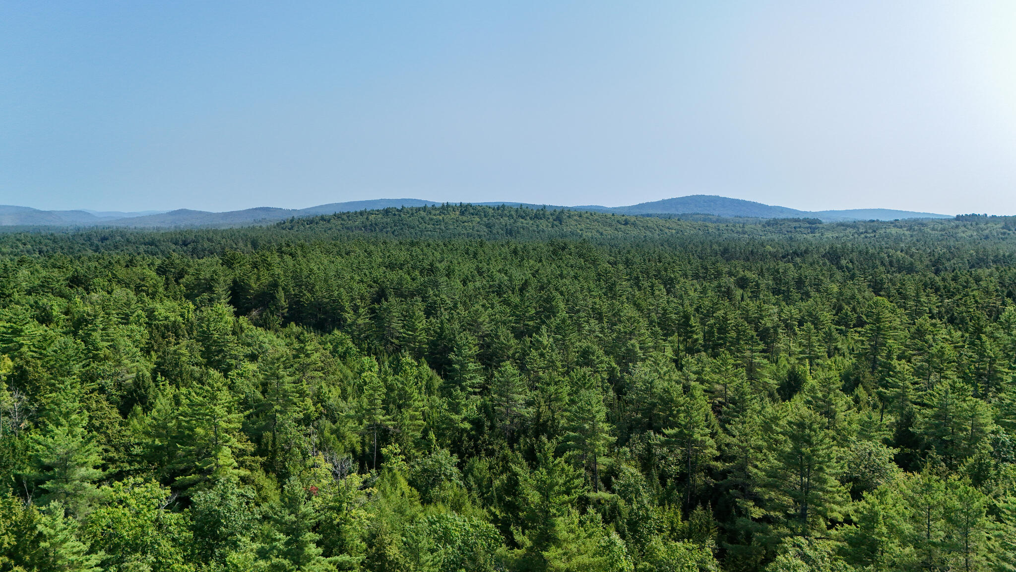 Lot #18 Ellis Road