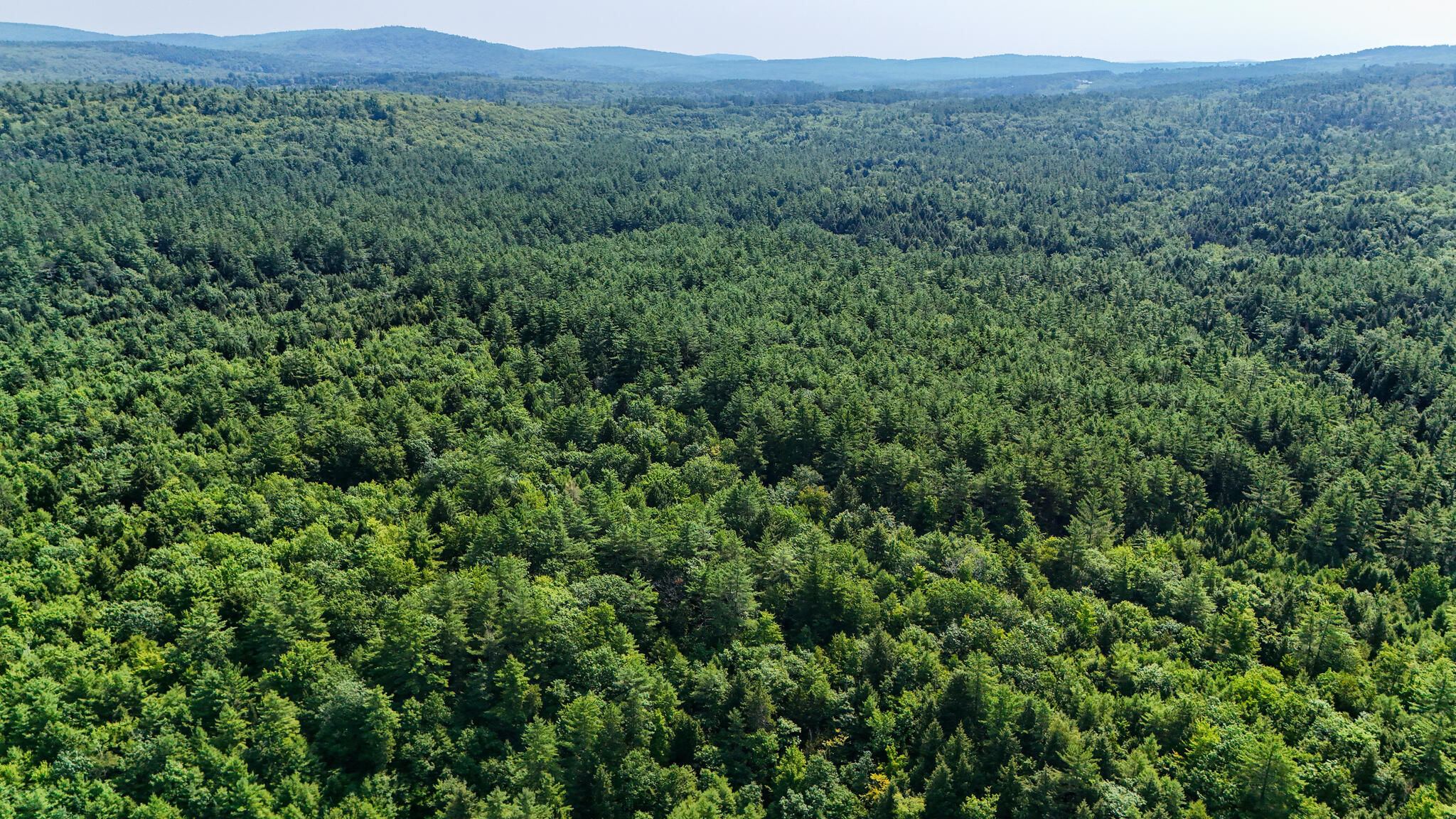 Lot #18 Ellis Road