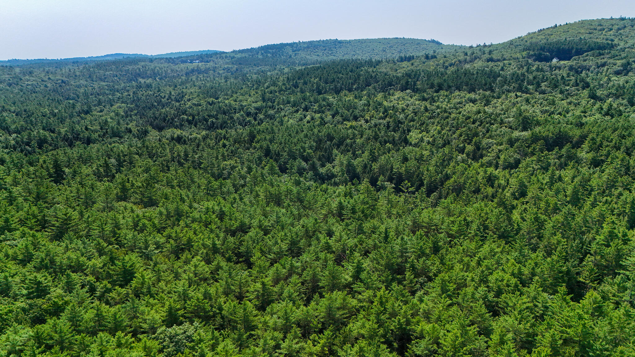 Lot #18 Ellis Road