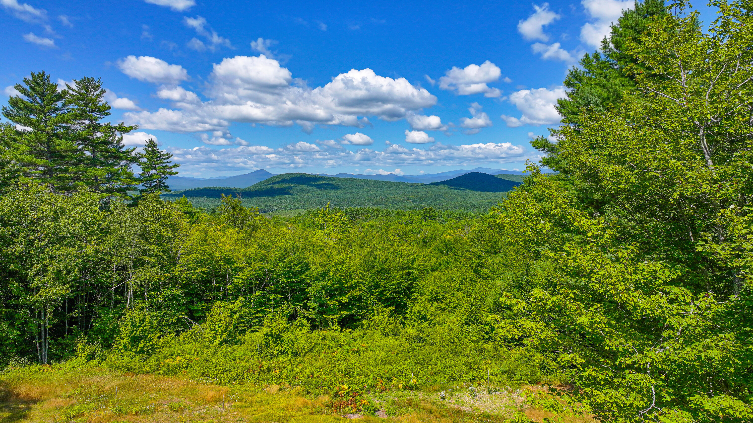 720 Bridgton Road