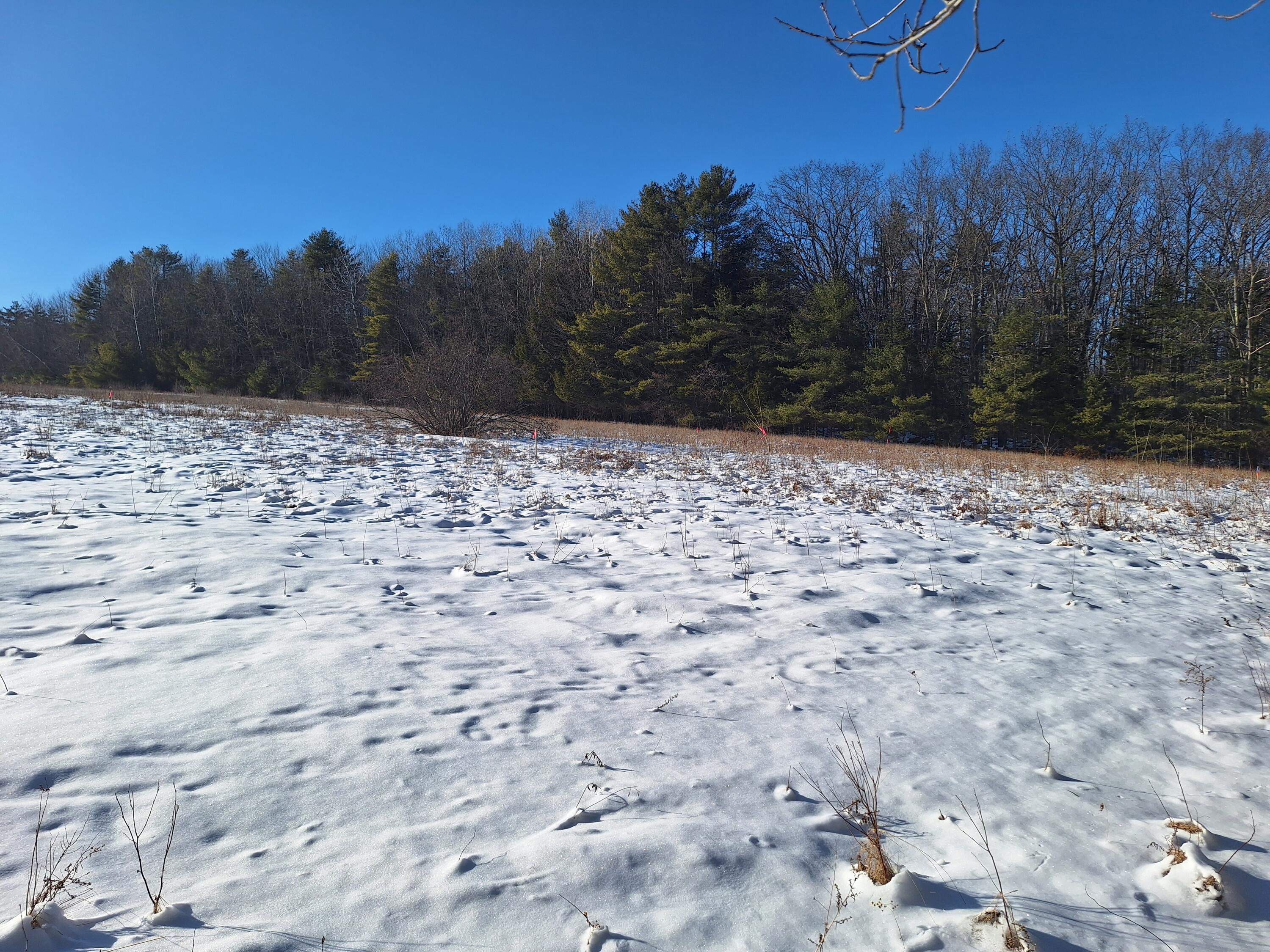 Lot82 Milbrook Road