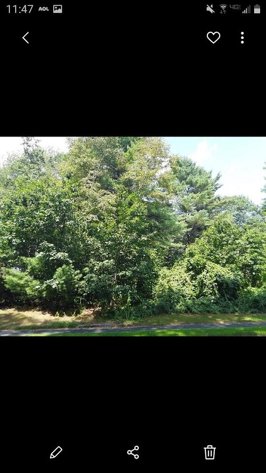 00 Middle Ridge Road